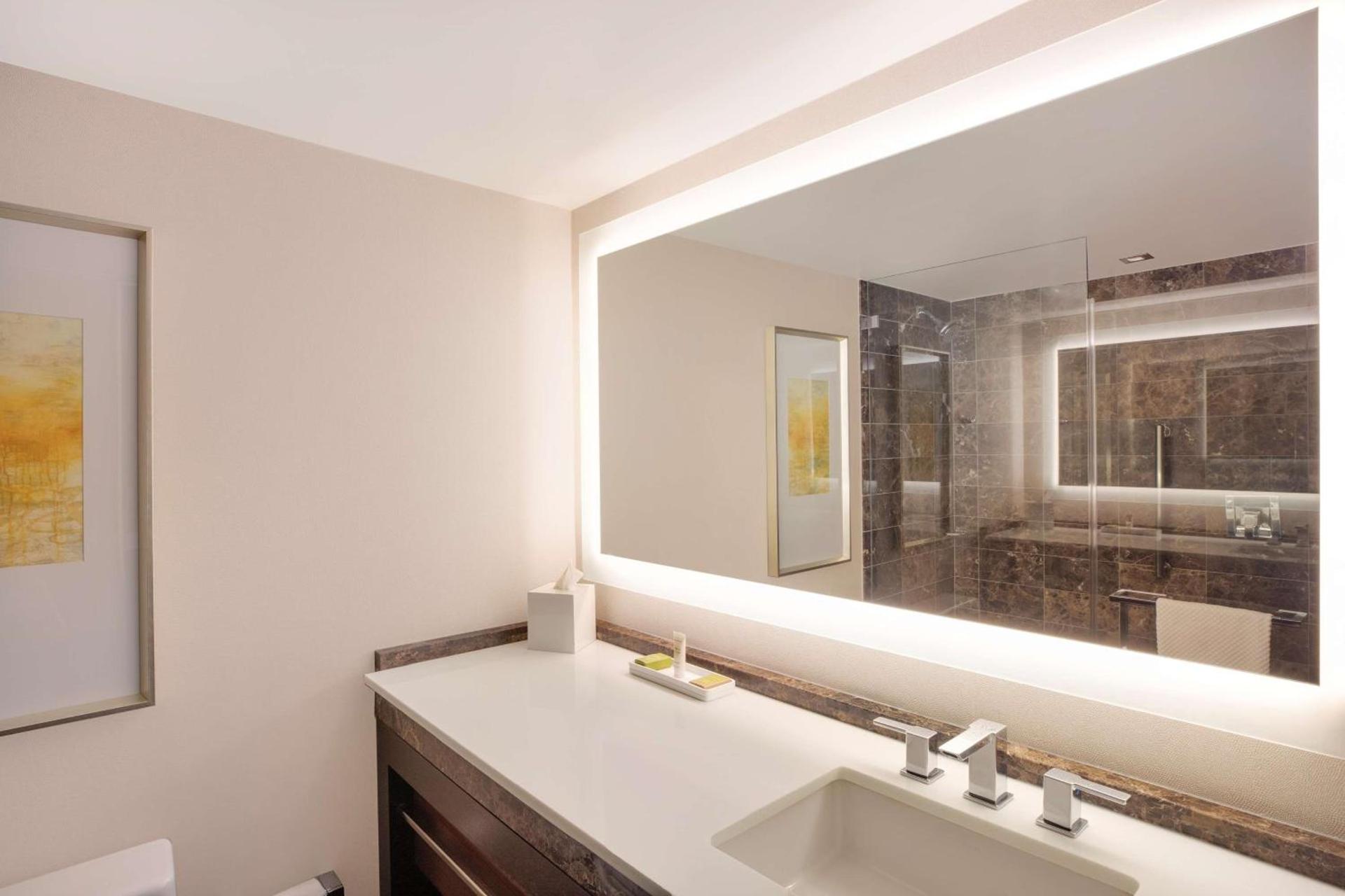 Hilton McLean Tysons Corner photo 20
