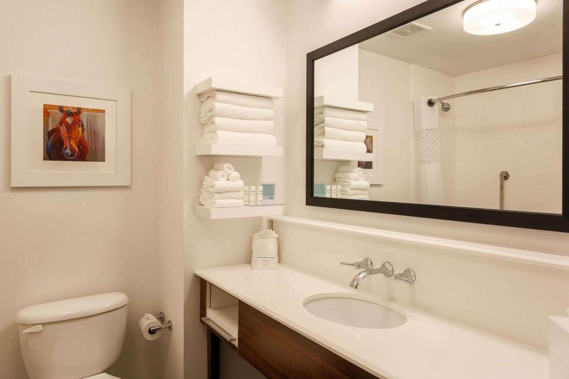 Hampton Inn Memphis-Southwind photo 17