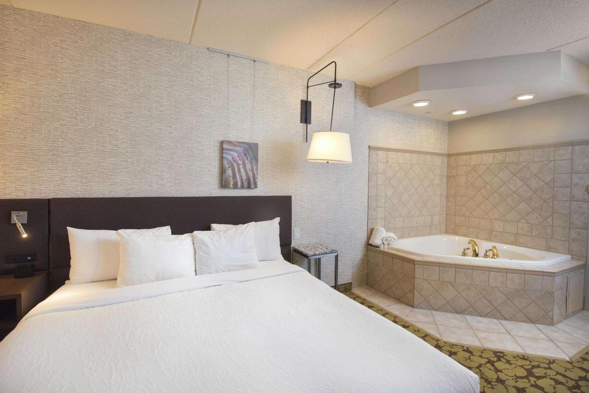 Hilton Garden Inn Wisconsin Dells photo 23