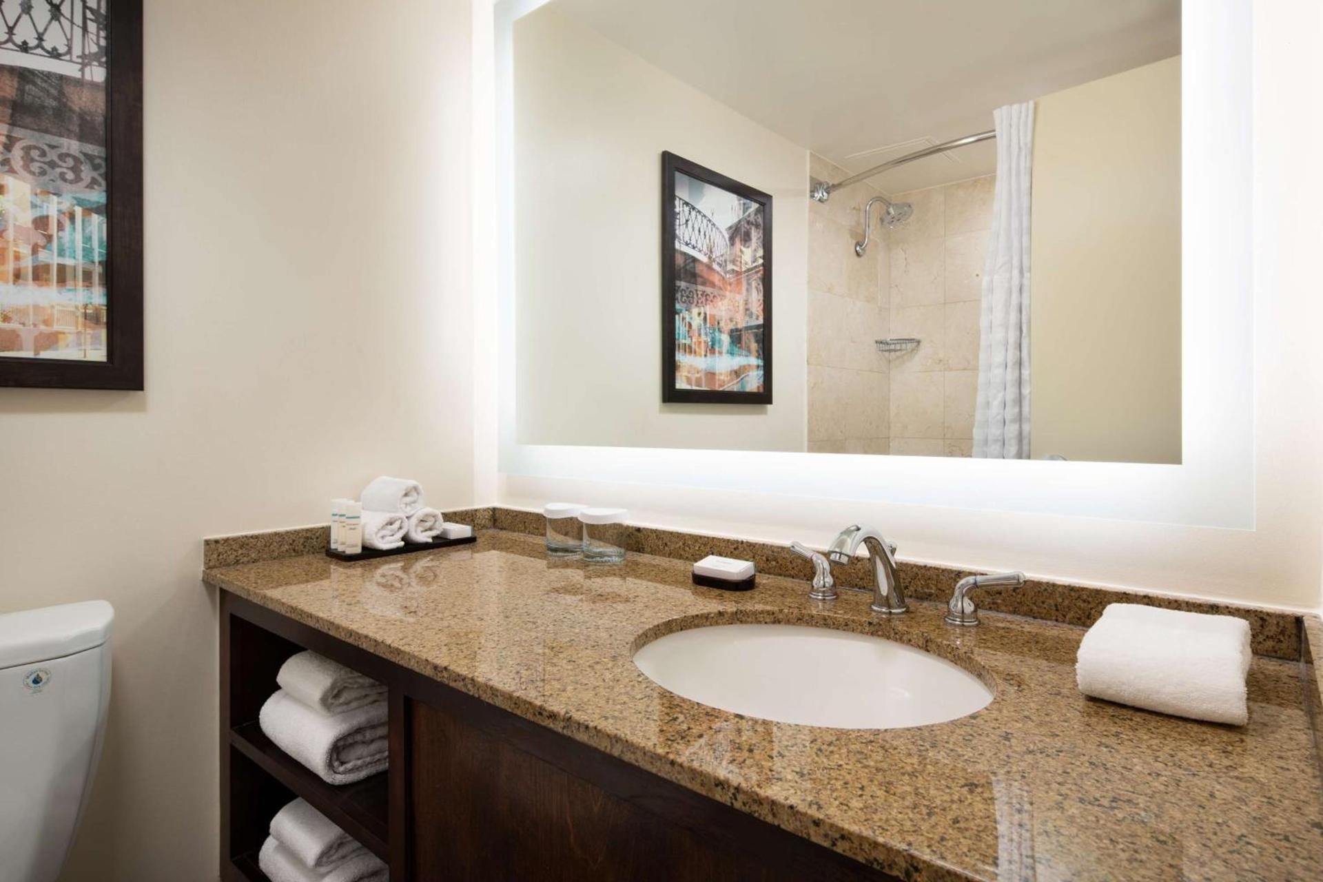 Embassy Suites by Hilton New Orleans Convention Center photo 30