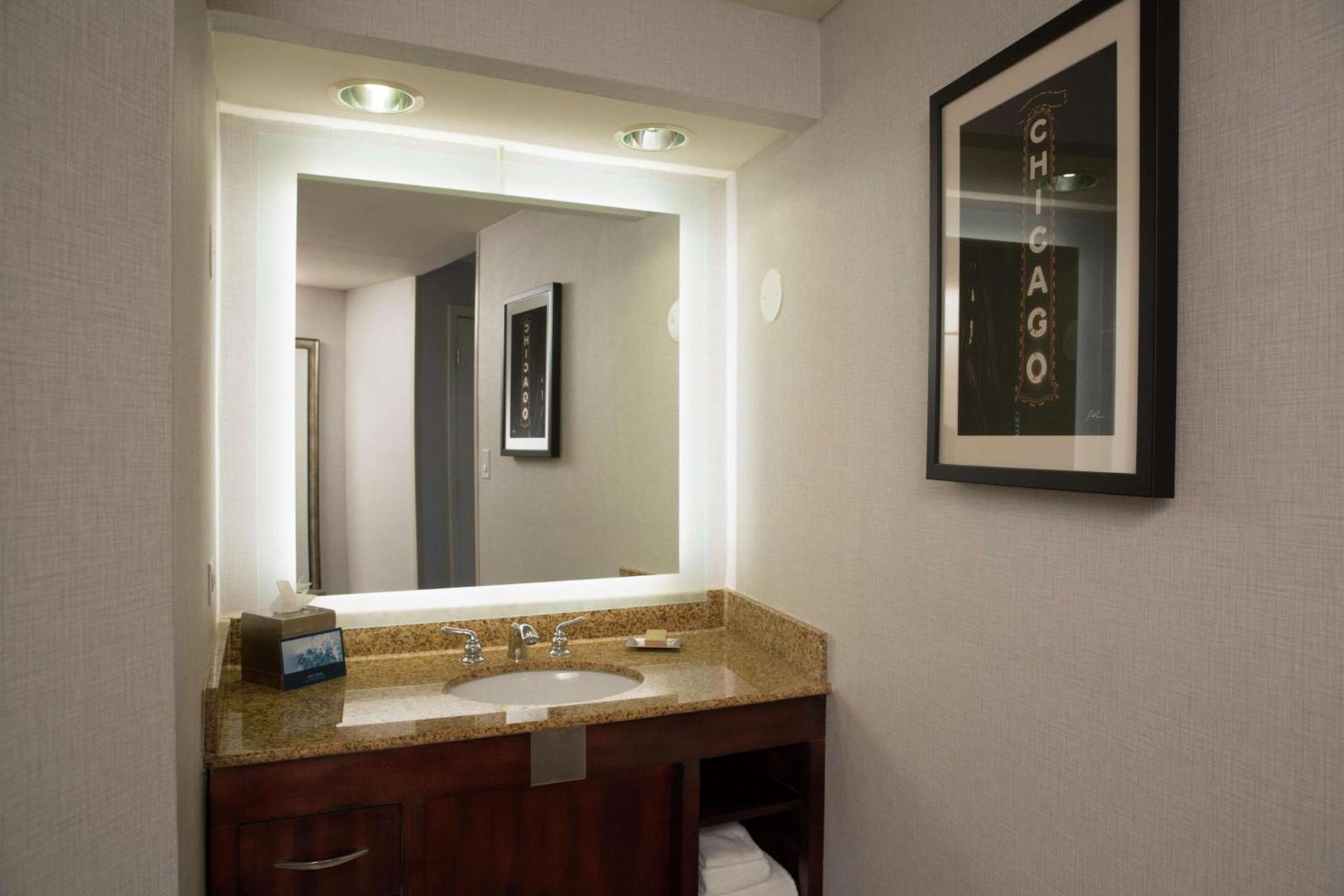 Hilton Chicago/Oak Lawn photo 22