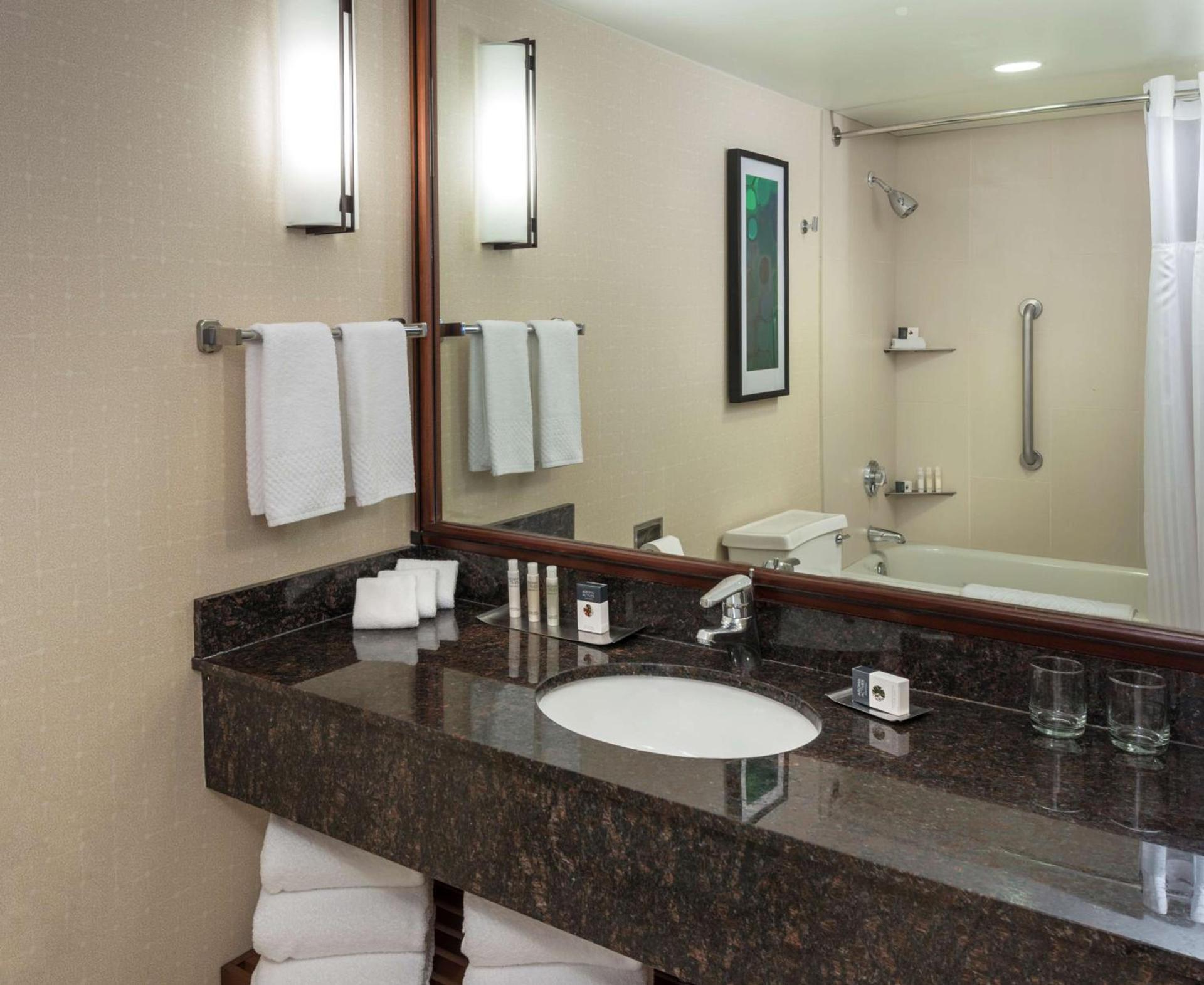 DoubleTree Suites by Hilton Hotel & Conference Center Chicago-Downers Grove photo 7