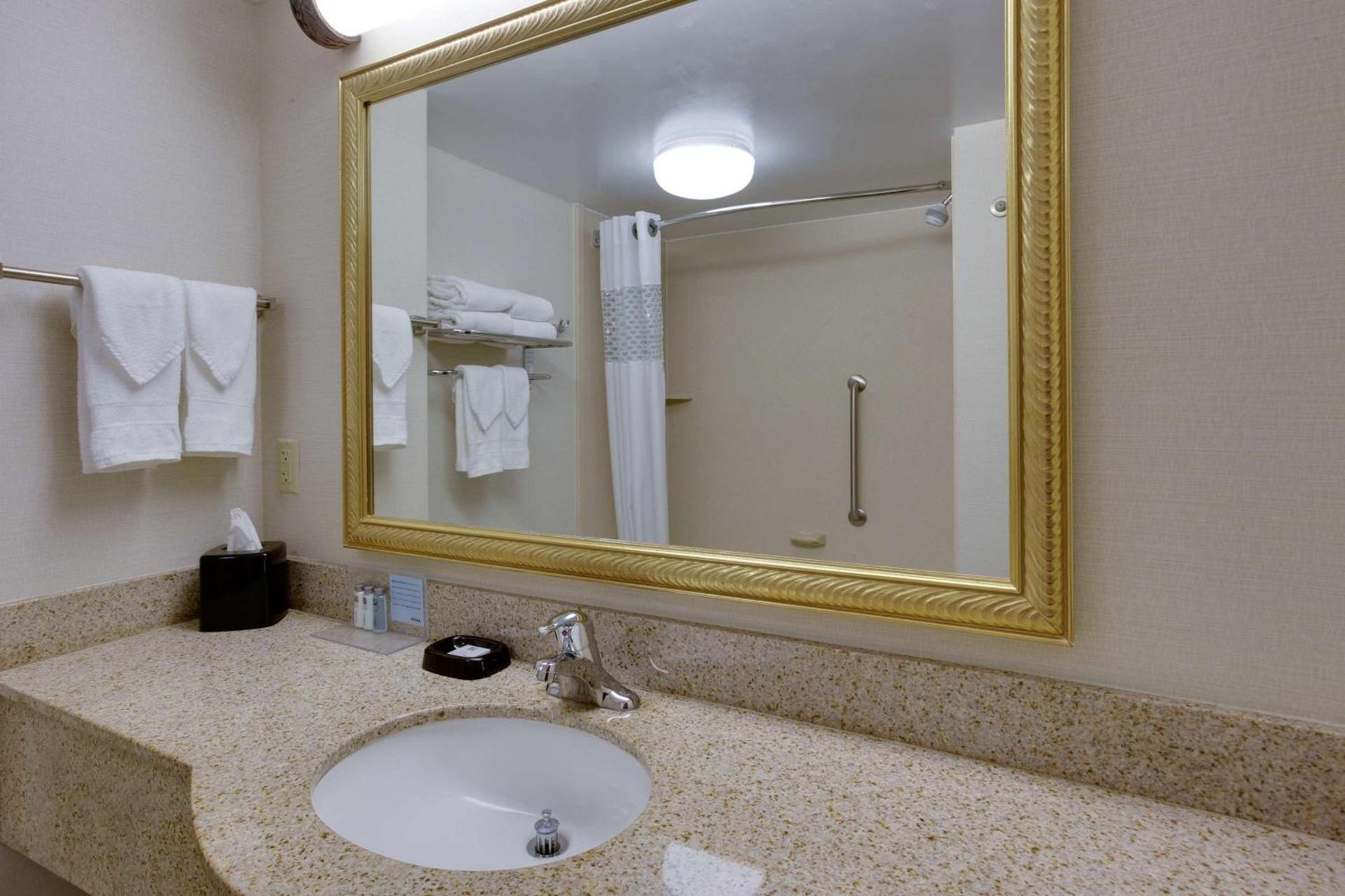 Hampton Inn Auburn photo 23