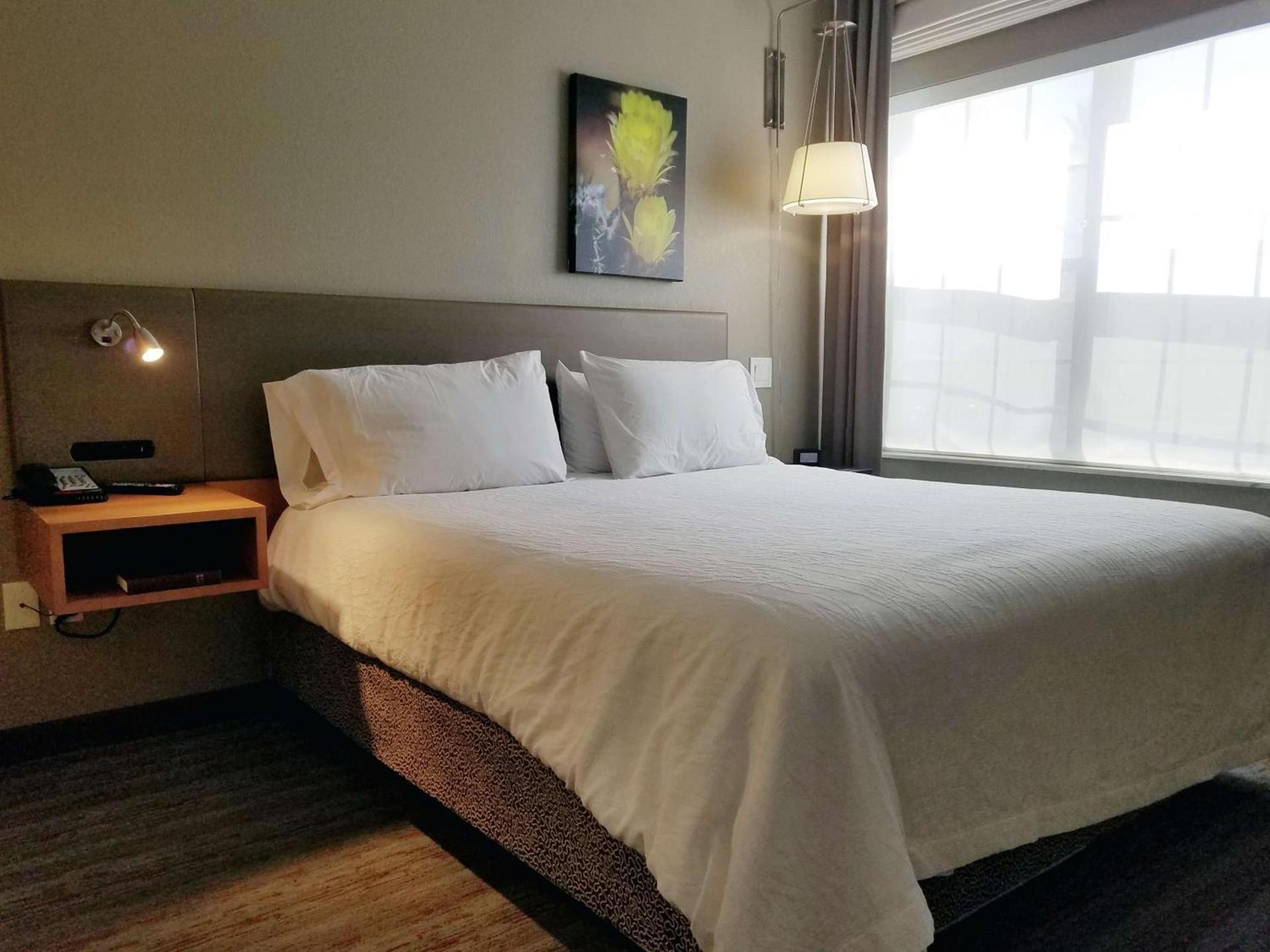 Hilton Garden Inn Phoenix Airport photo 11