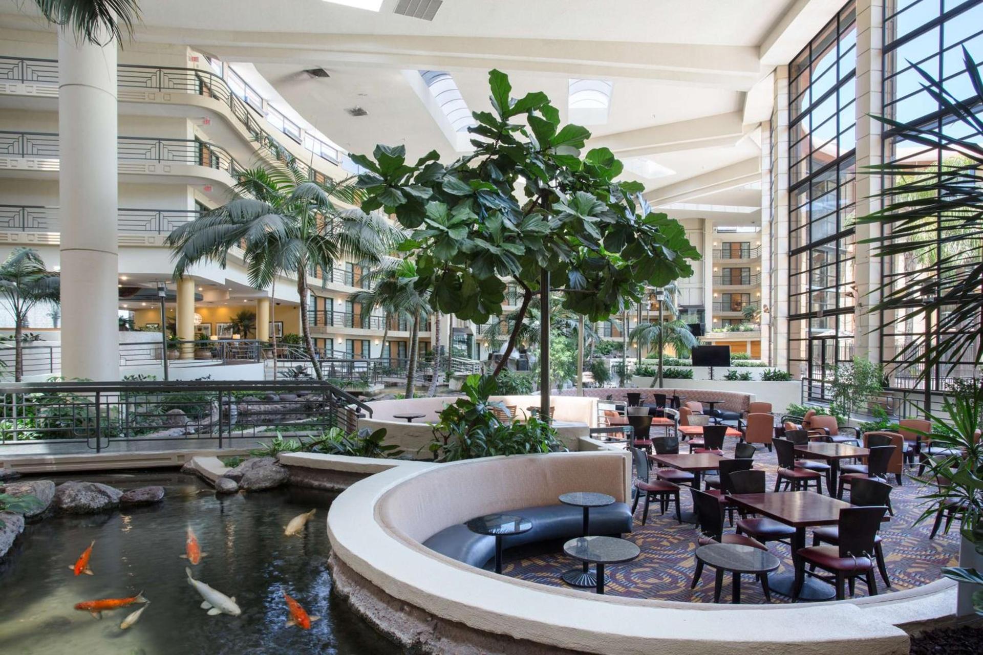 Embassy Suites by Hilton Phoenix Biltmore photo 10