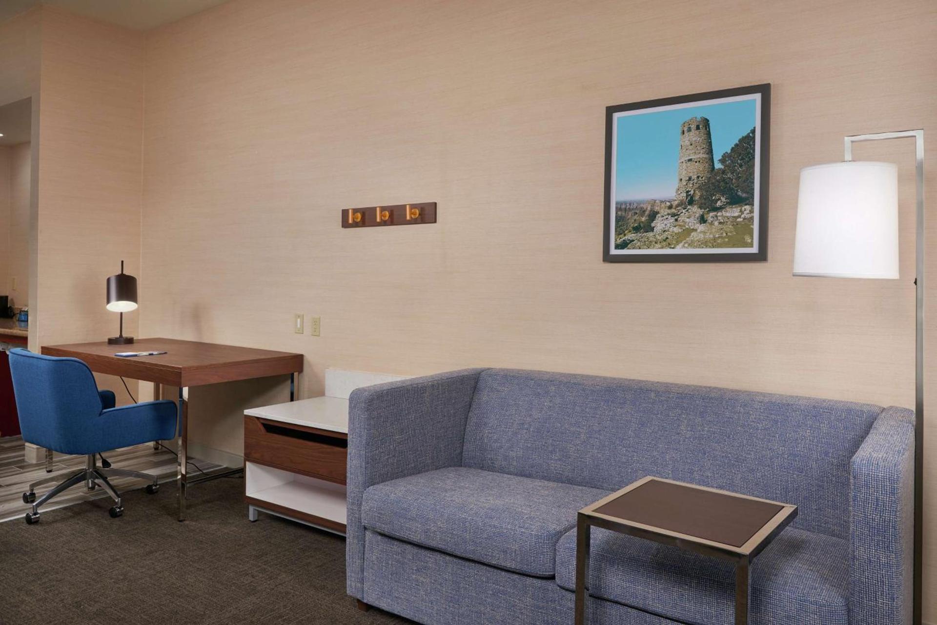 Hampton Inn & Suites Phoenix-Surprise photo 16