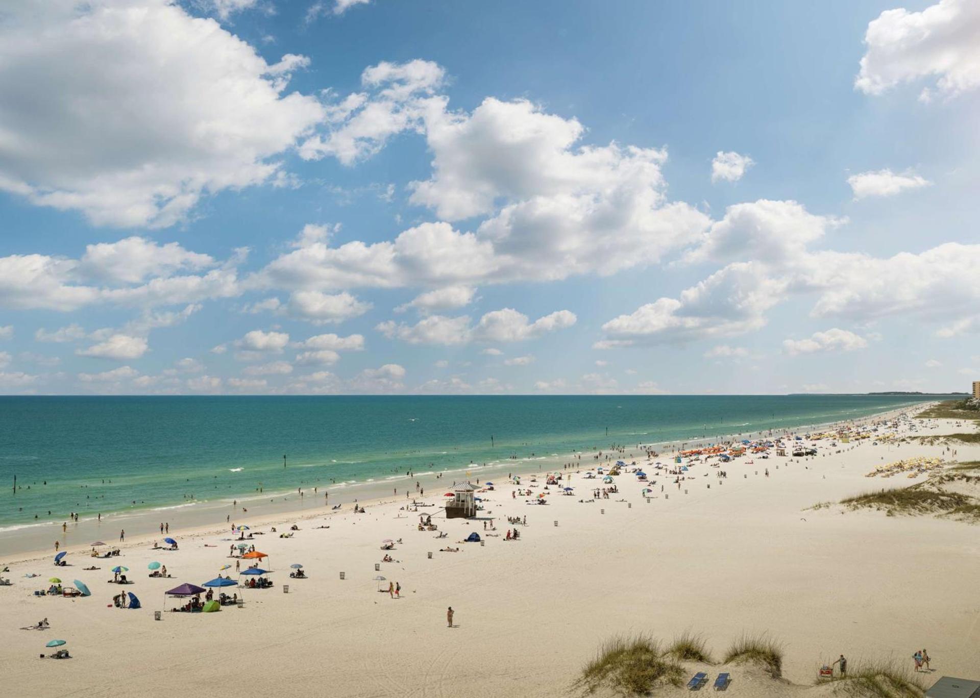 Hilton Clearwater Beach Resort & Spa photo 6