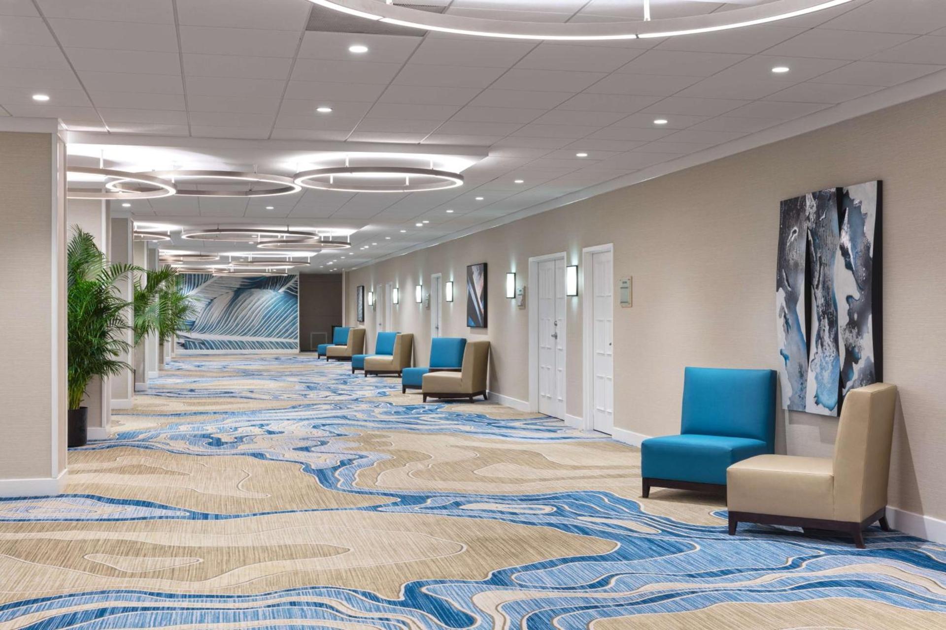 Hilton Clearwater Beach Resort & Spa photo 69