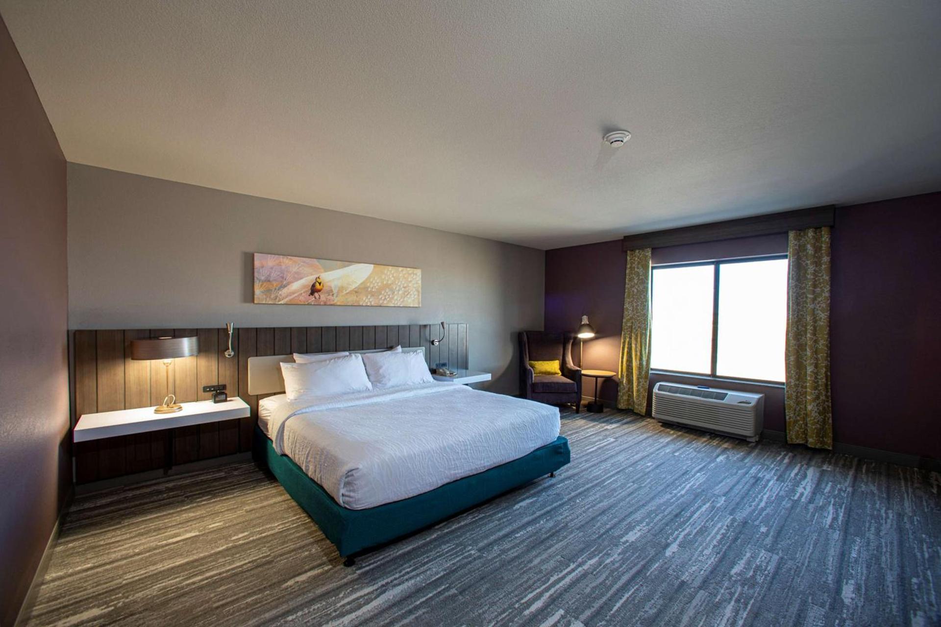 Hilton Garden Inn Rapid City photo 29