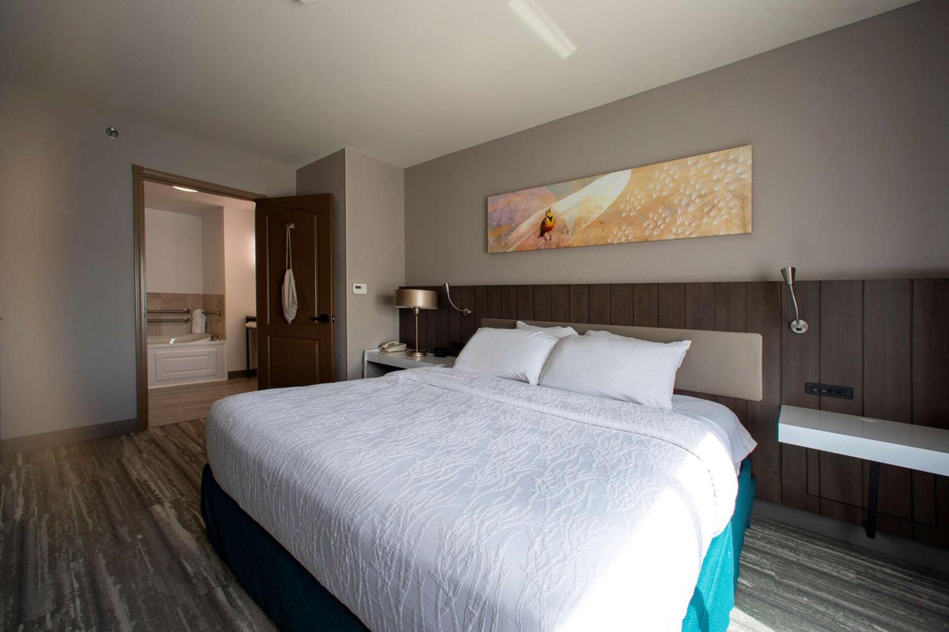 Hilton Garden Inn Rapid City photo 31