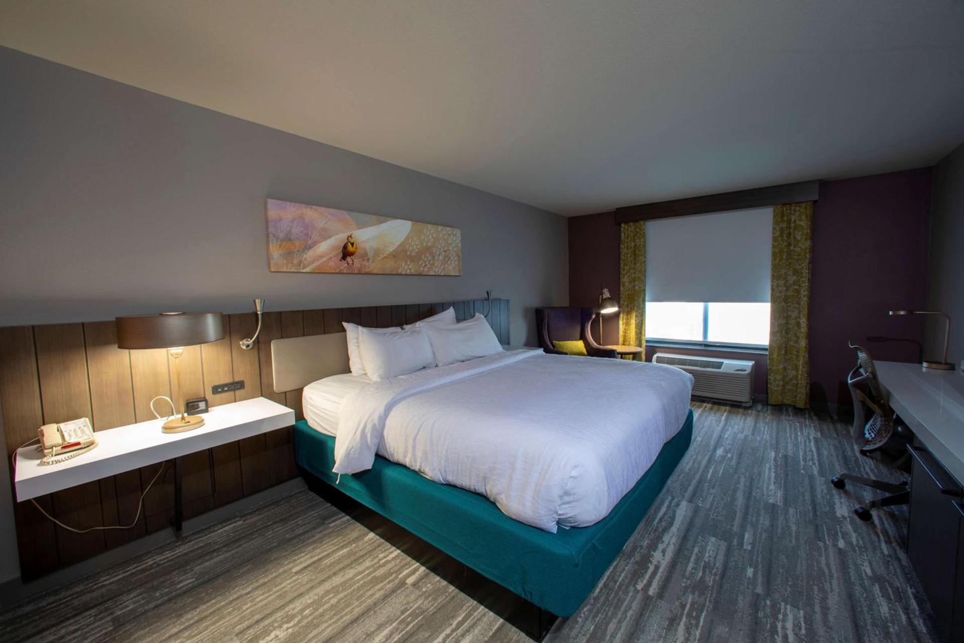 Hilton Garden Inn Rapid City photo 45