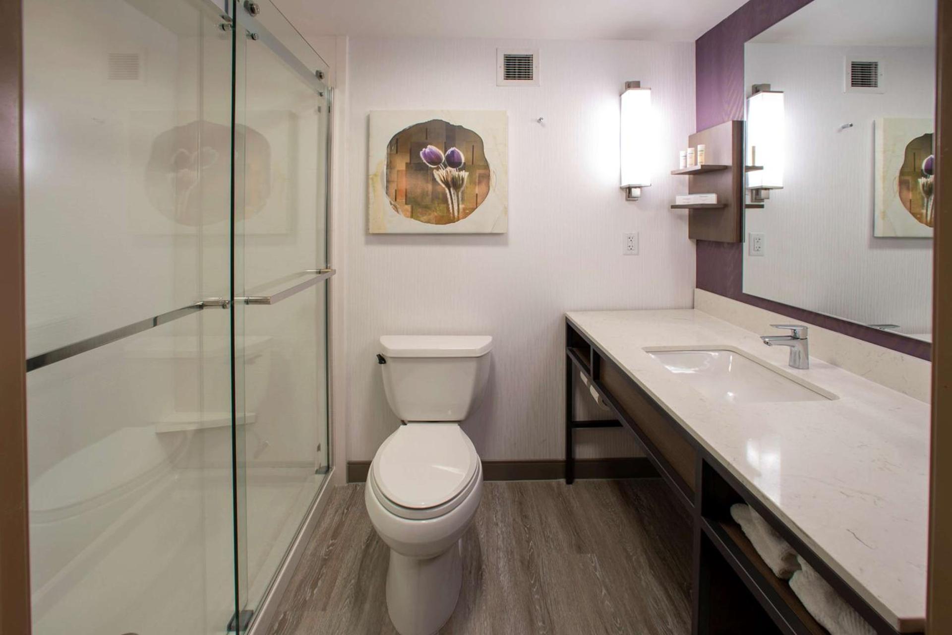 Hilton Garden Inn Rapid City photo 49