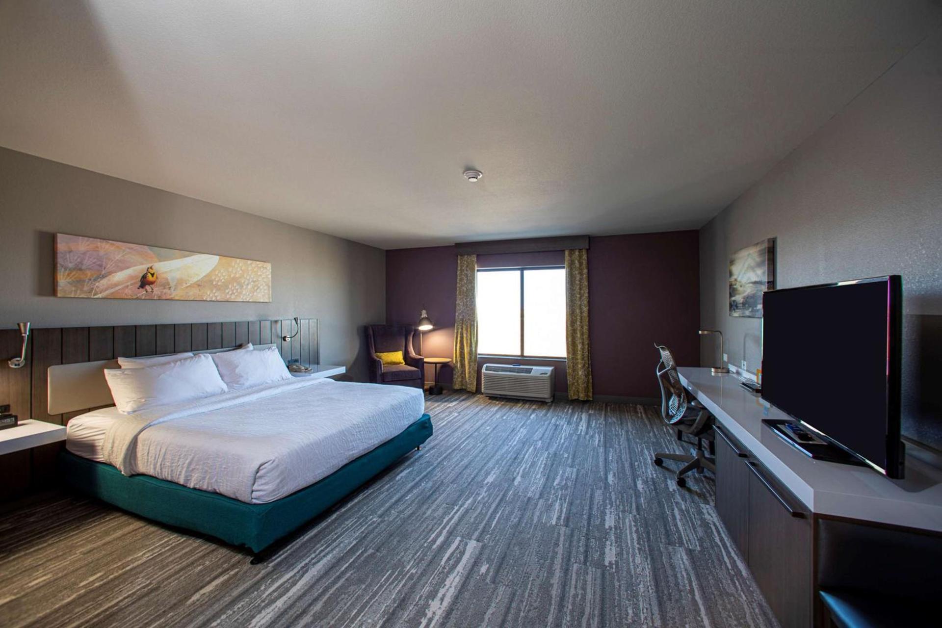 Hilton Garden Inn Rapid City photo 53
