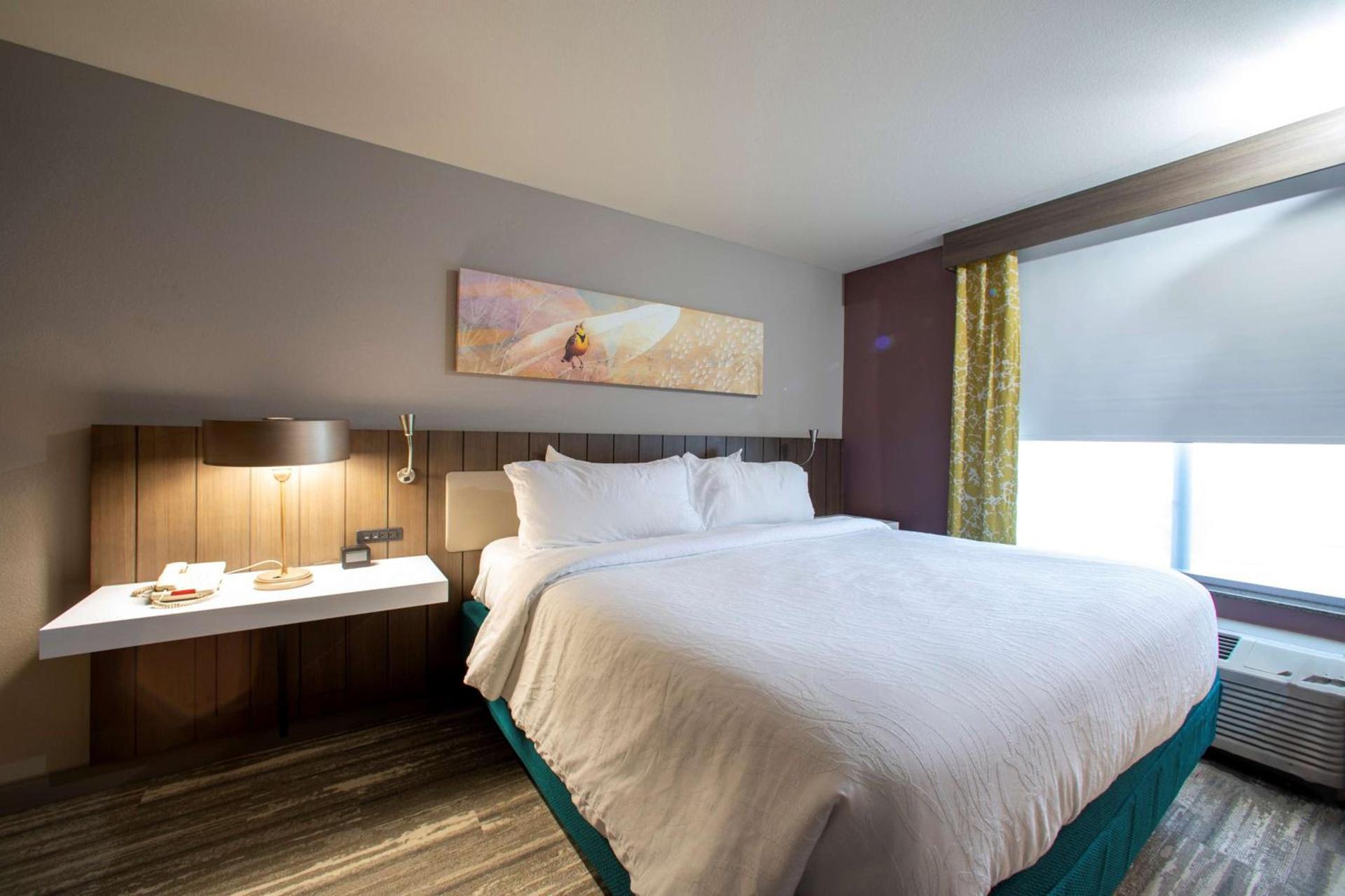 Hilton Garden Inn Rapid City photo 58