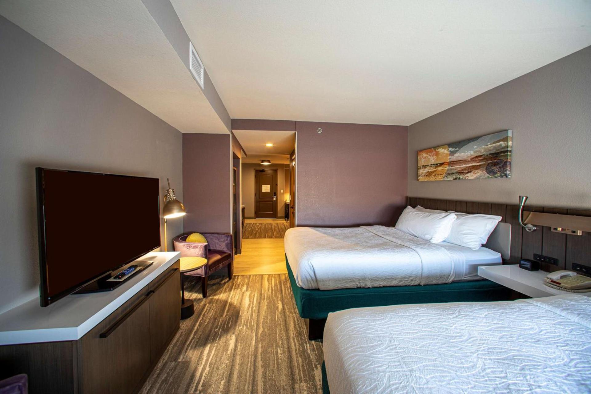Hilton Garden Inn Rapid City photo 64