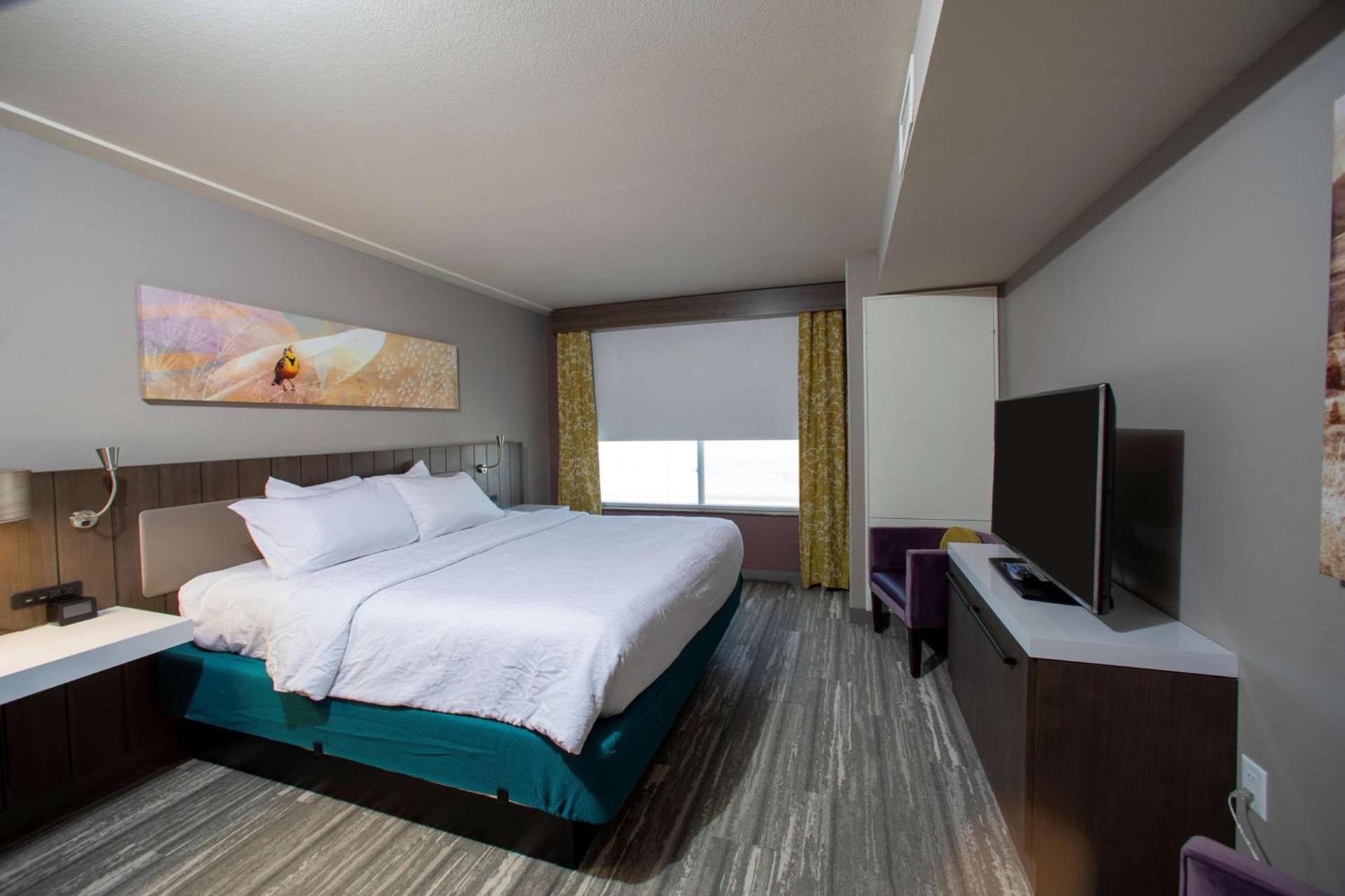 Hilton Garden Inn Rapid City photo 66