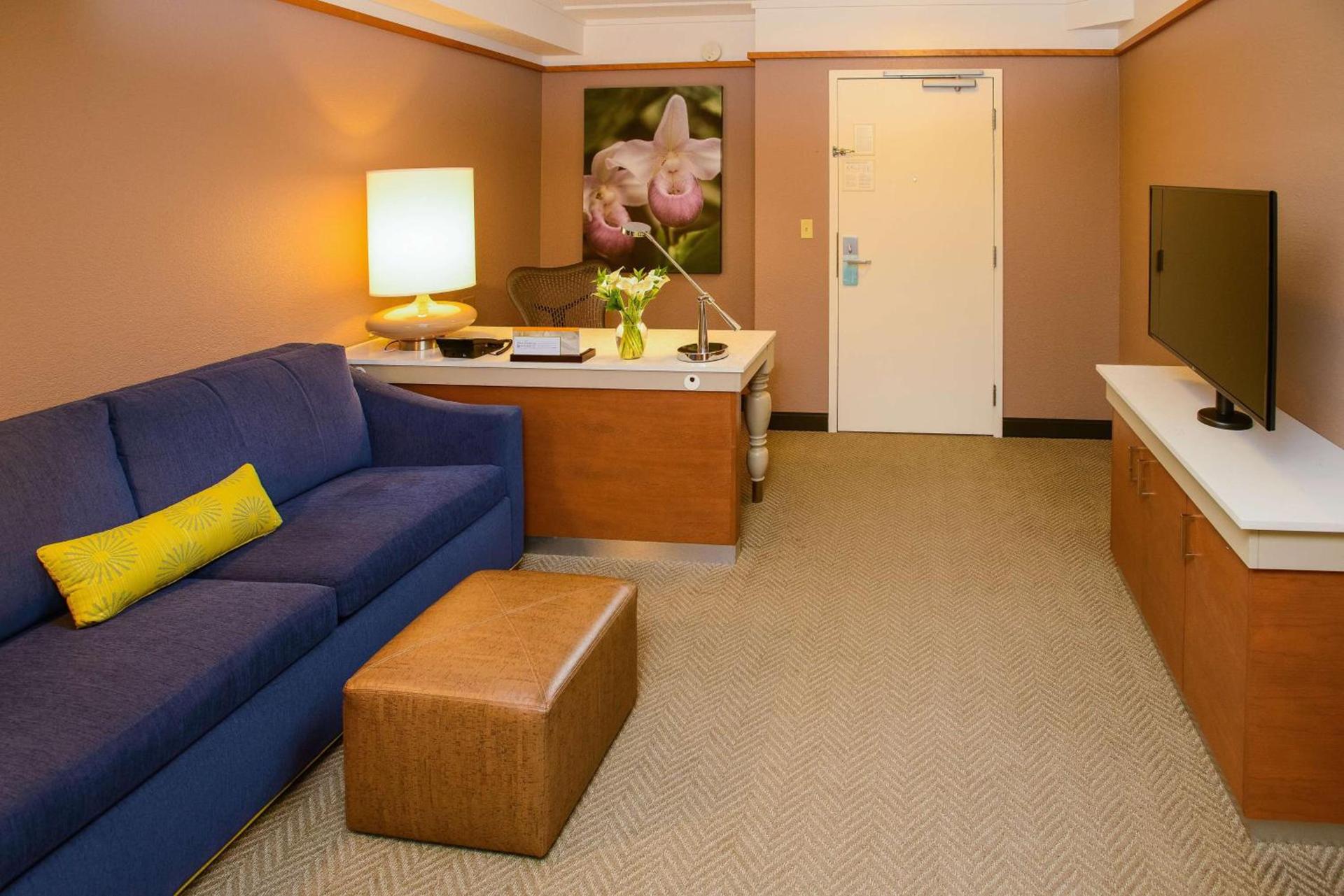 Hilton Garden Inn Rochester Downtown photo 32