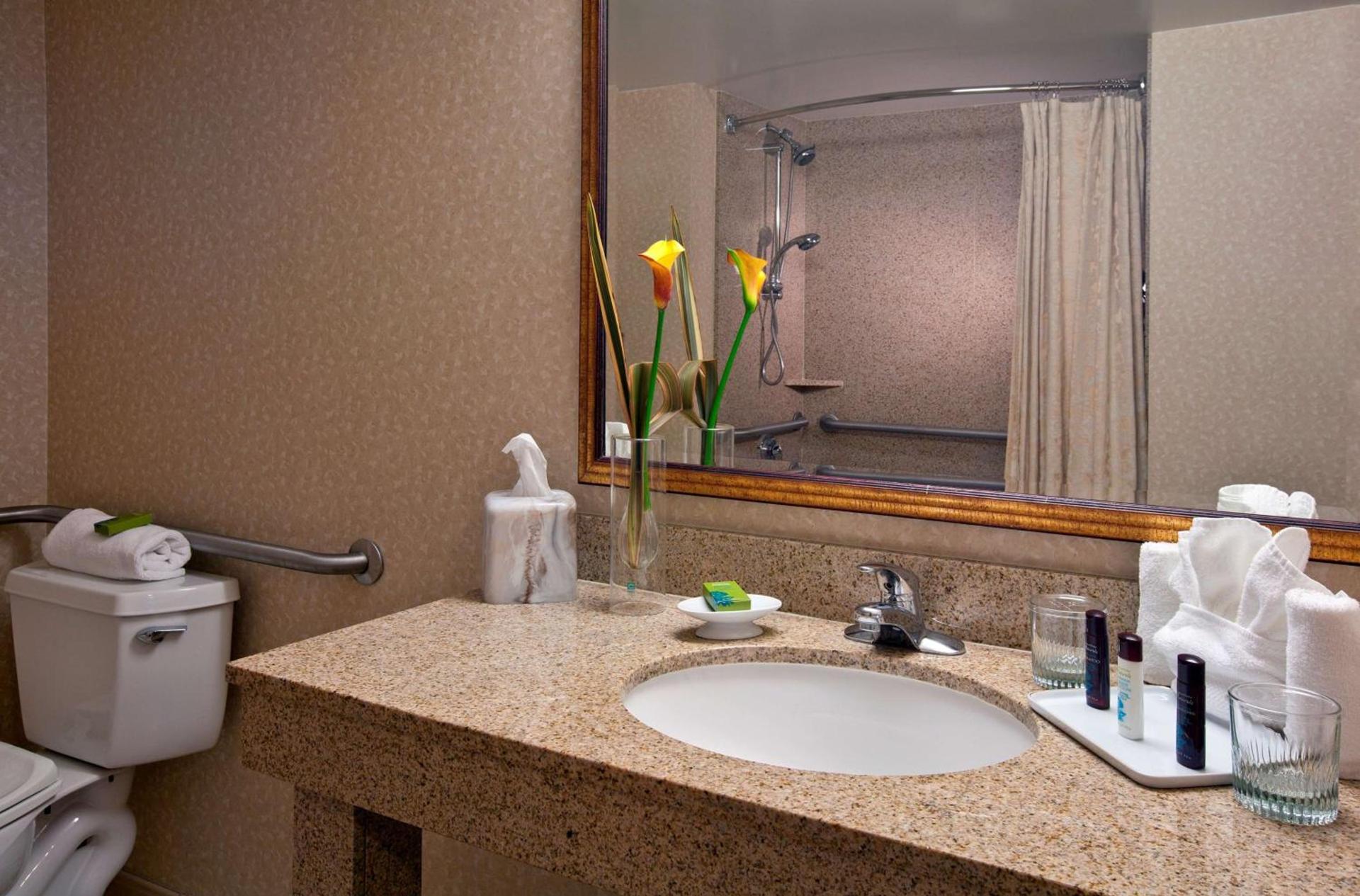 Embassy Suites by Hilton Sacramento Riverfront Promenade photo 73