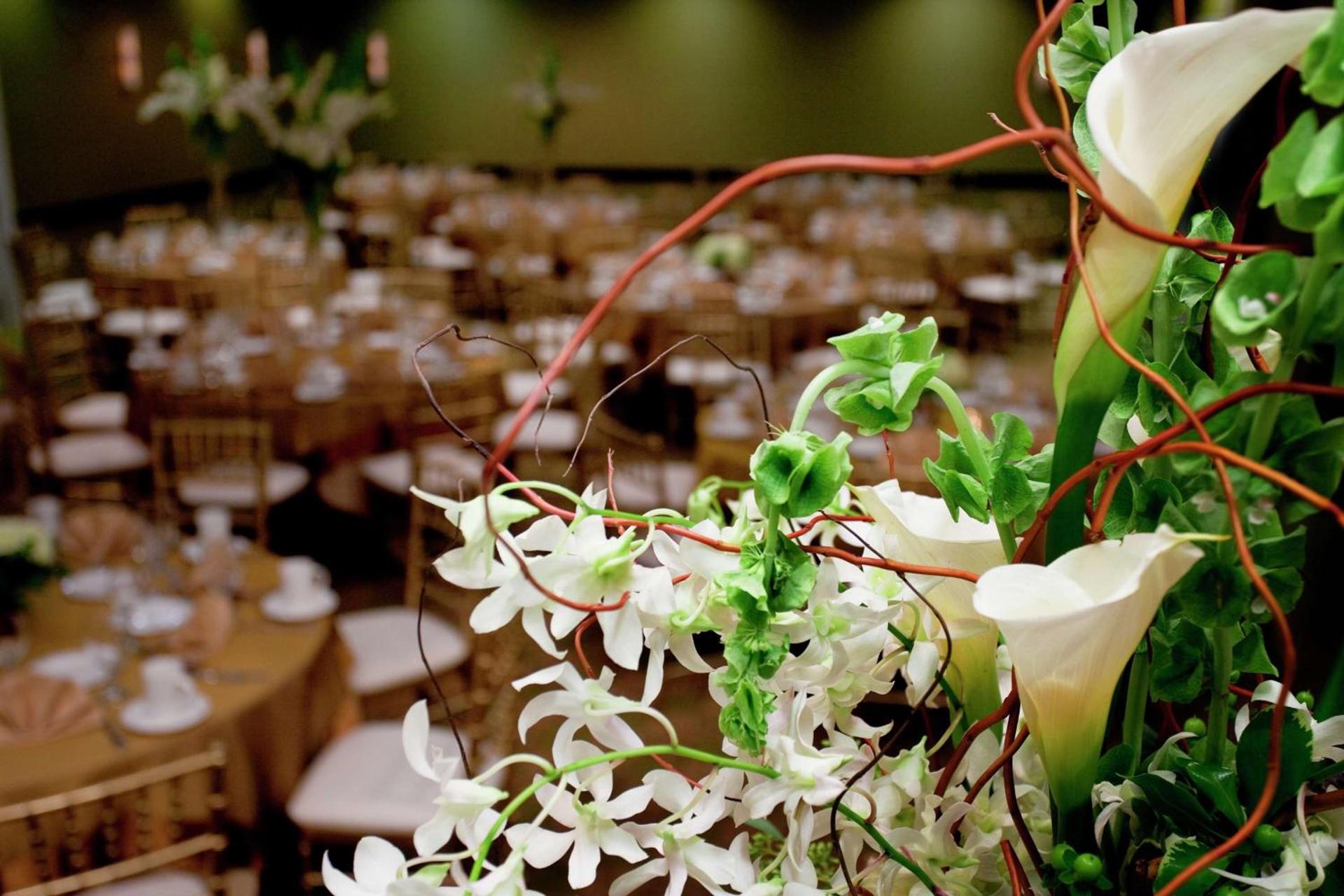 Hilton Garden Inn Seattle/Bothell photo 24