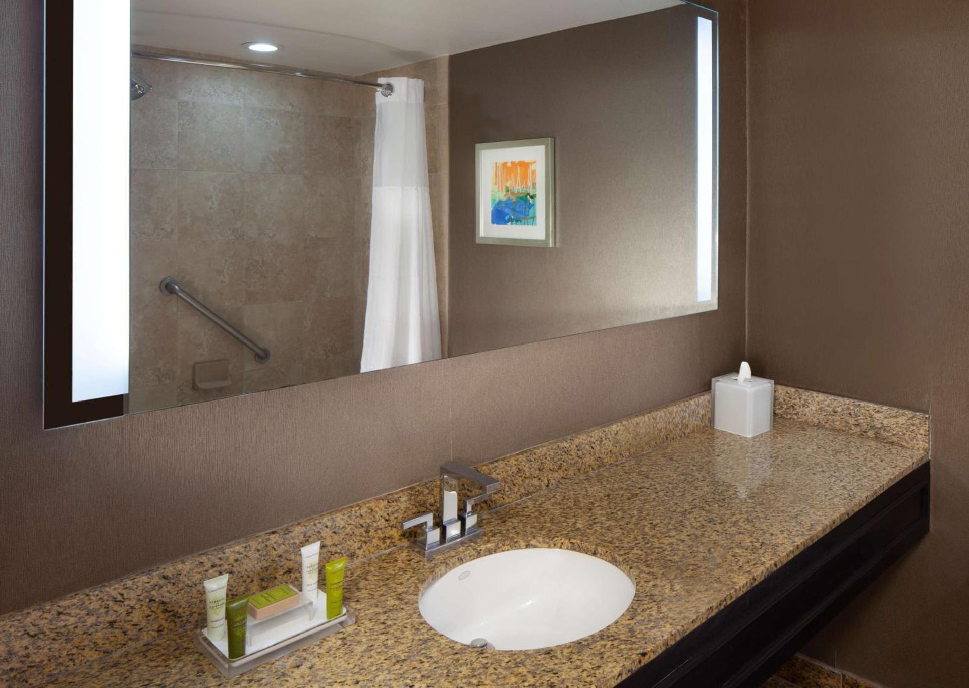 Hilton St. Petersburg Bayfront photo 43