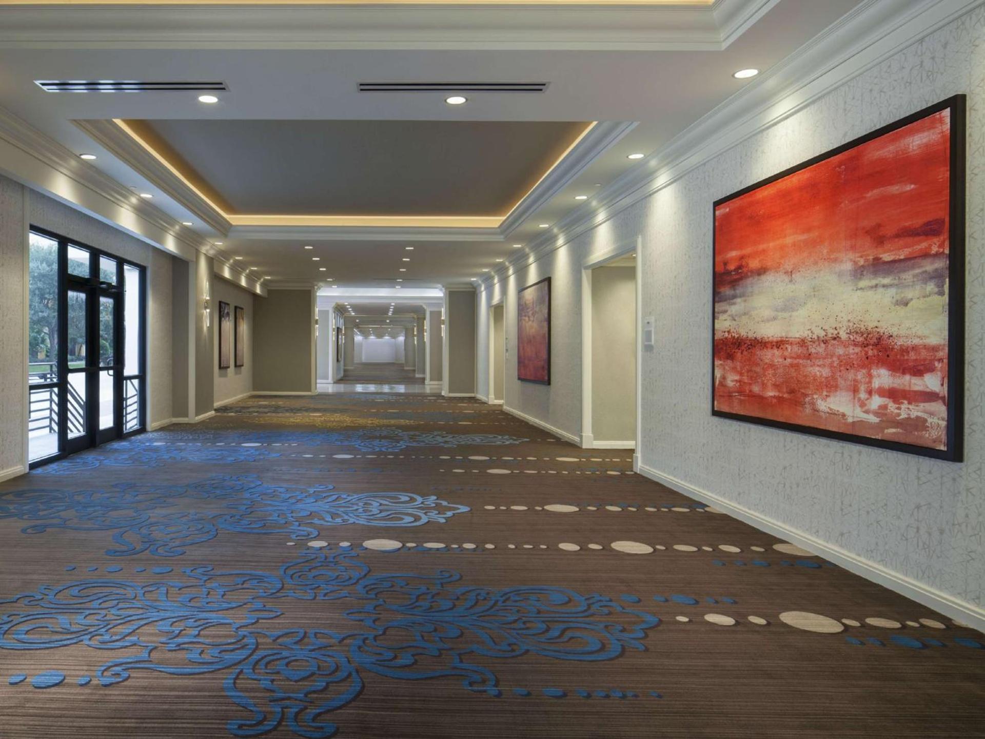 Hilton St. Petersburg Bayfront photo 59