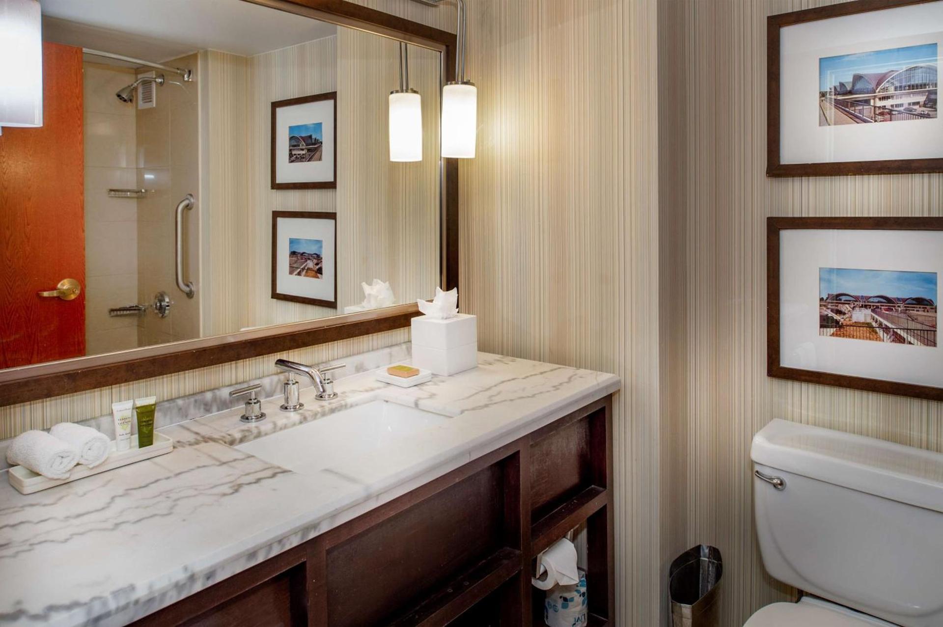 Hilton St. Louis Airport photo 55