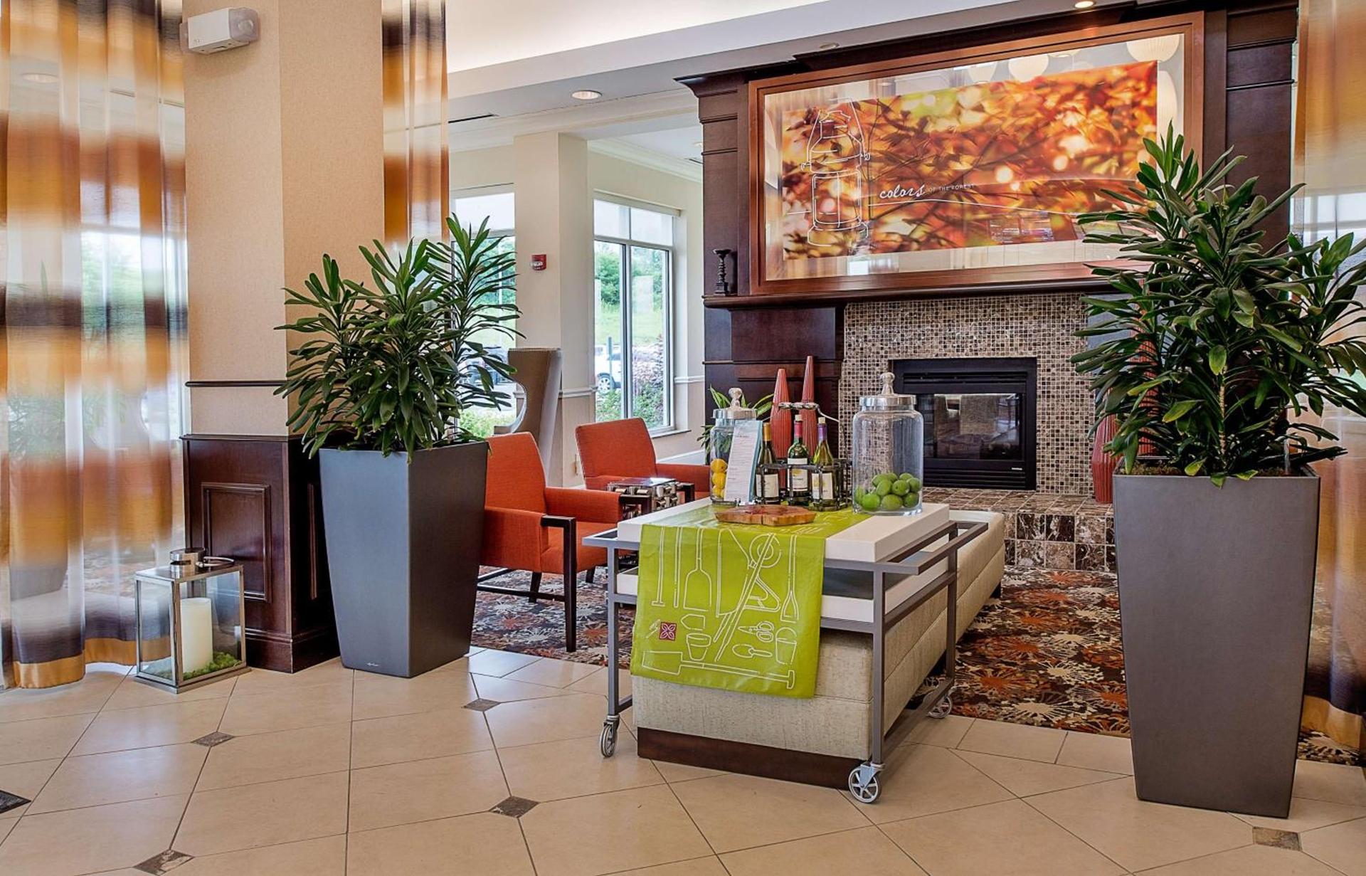 Hilton Garden Inn St. Louis Airport photo 3