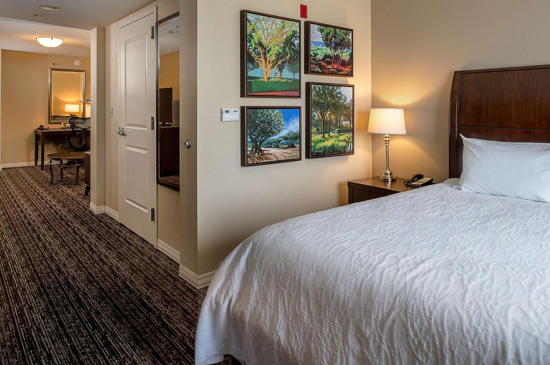Hilton Garden Inn St. Louis Airport photo 13