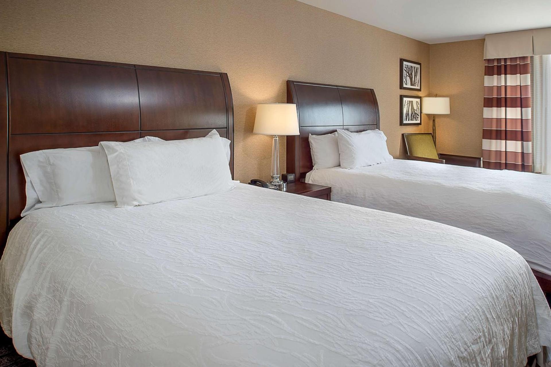 Hilton Garden Inn St. Louis Airport photo 18