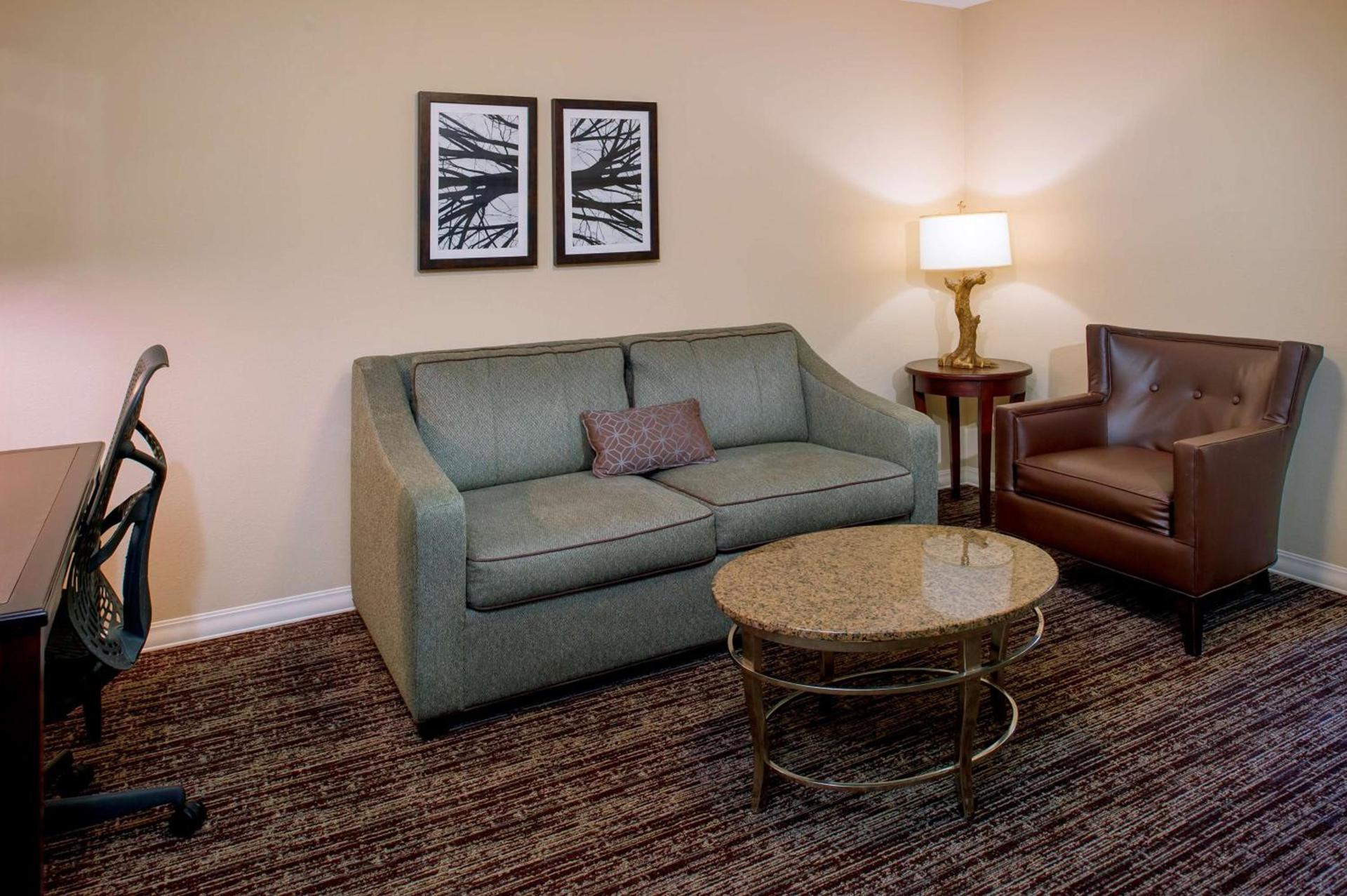 Hilton Garden Inn St. Louis Airport photo 23