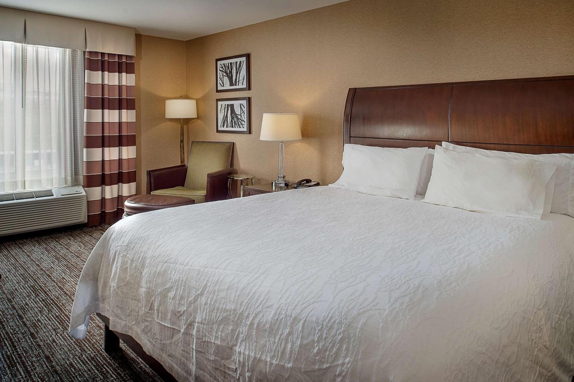 Hilton Garden Inn St. Louis Airport photo 25