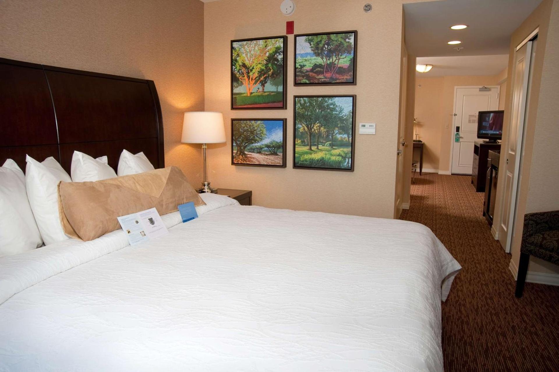 Hilton Garden Inn St. Louis Airport photo 27