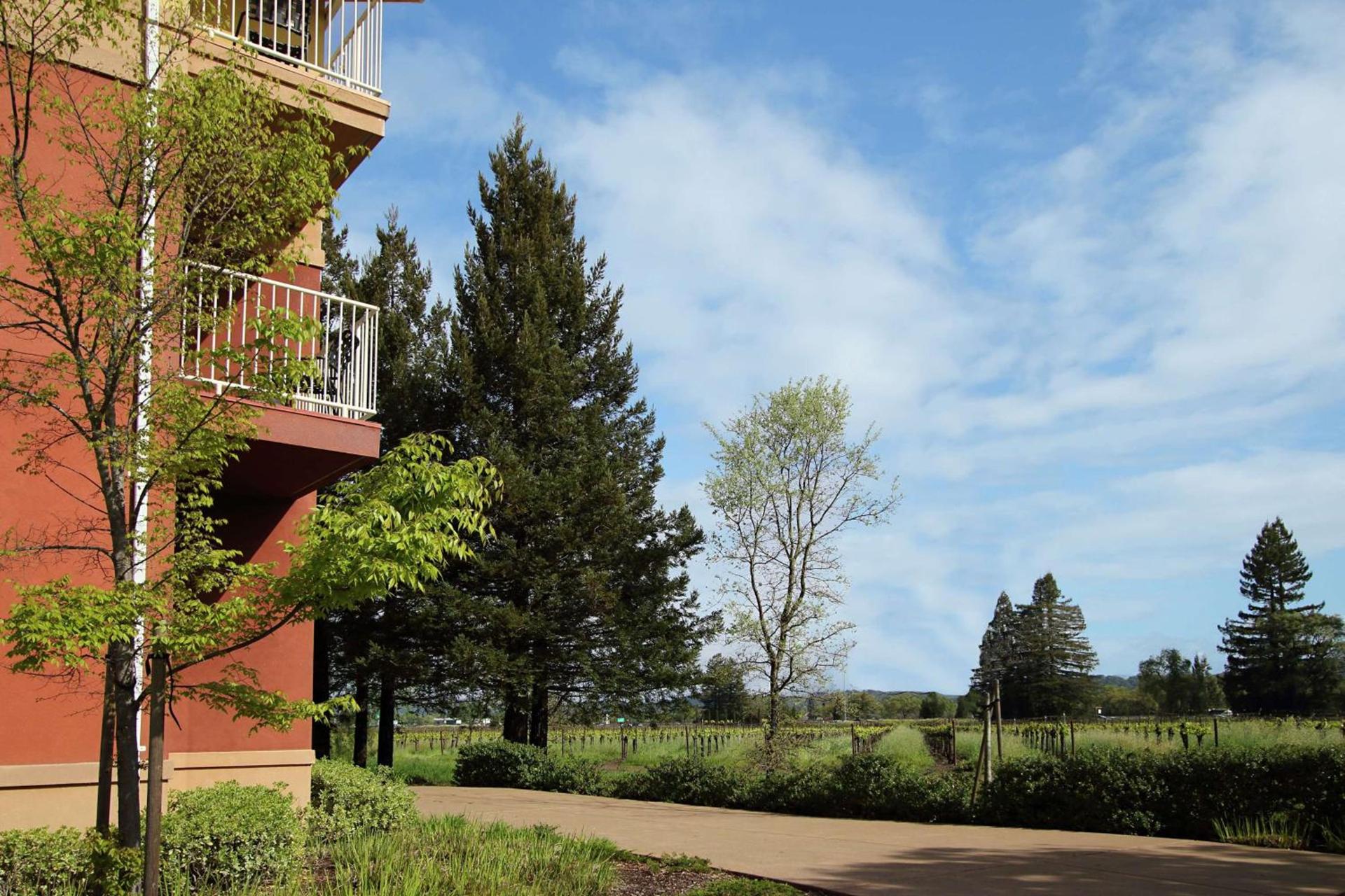 Hilton Garden Inn Sonoma County Airport photo 8