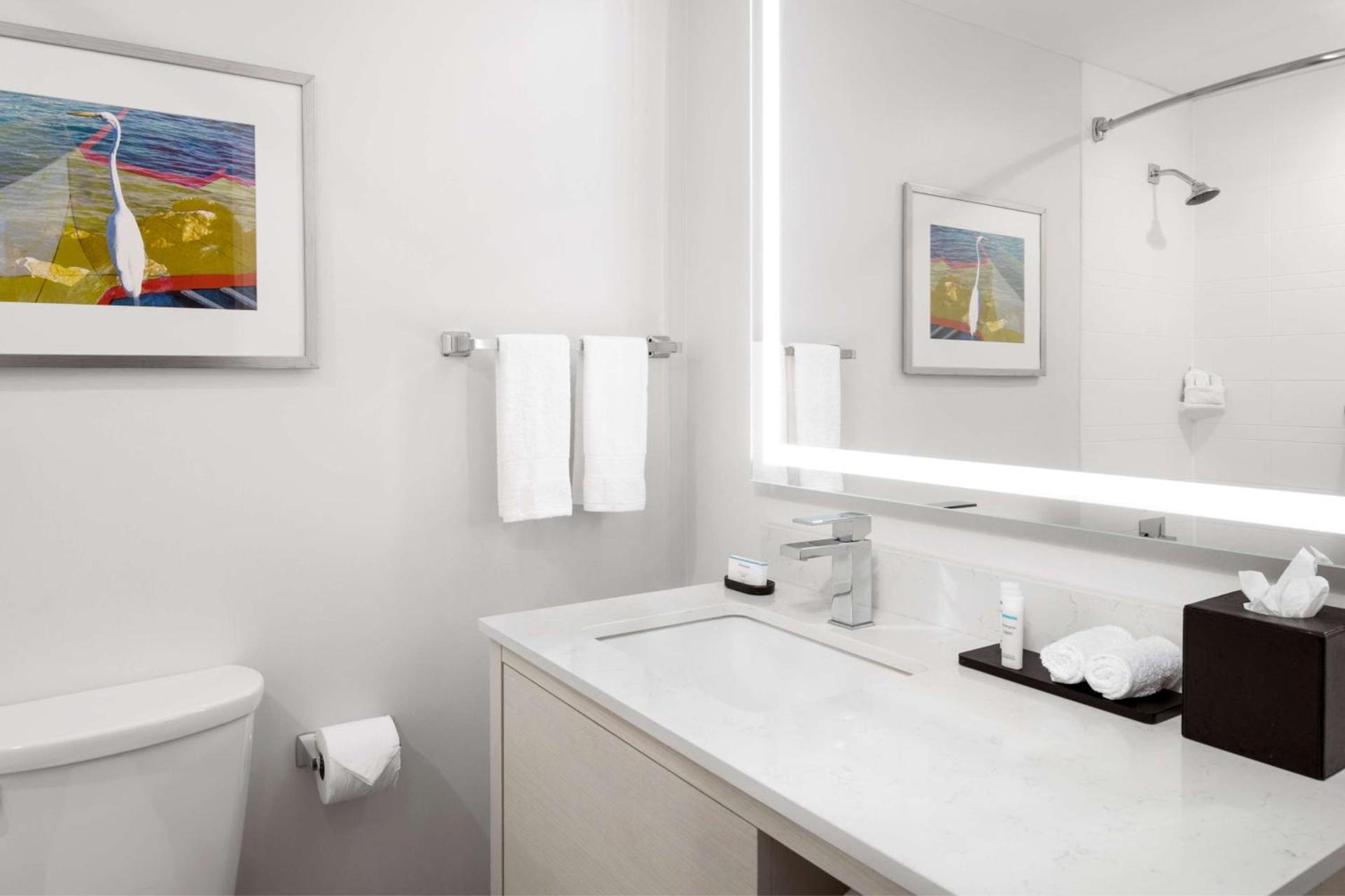 Embassy Suites by Hilton Tampa Airport Westshore photo 13
