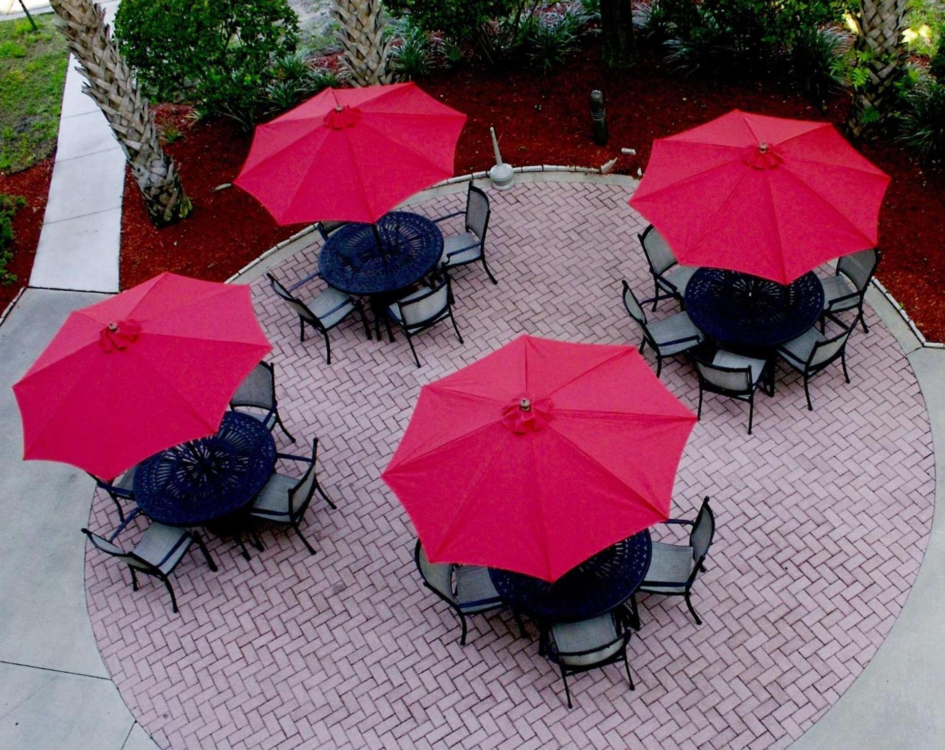Hilton Garden Inn Tampa North photo 10