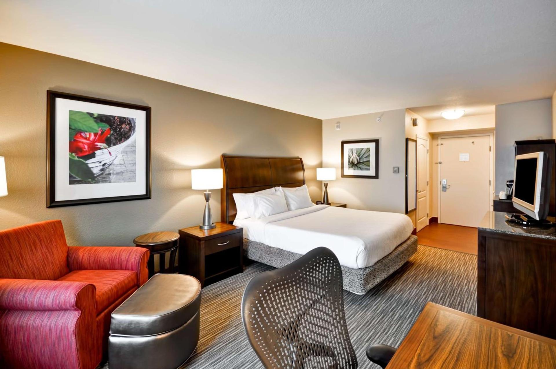 Hilton Garden Inn Tampa North photo 31