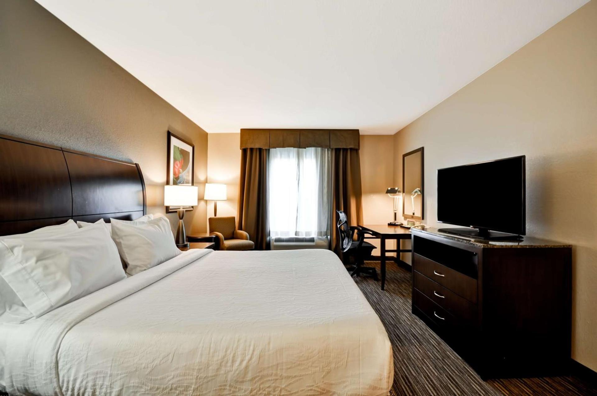 Hilton Garden Inn Tampa North photo 32