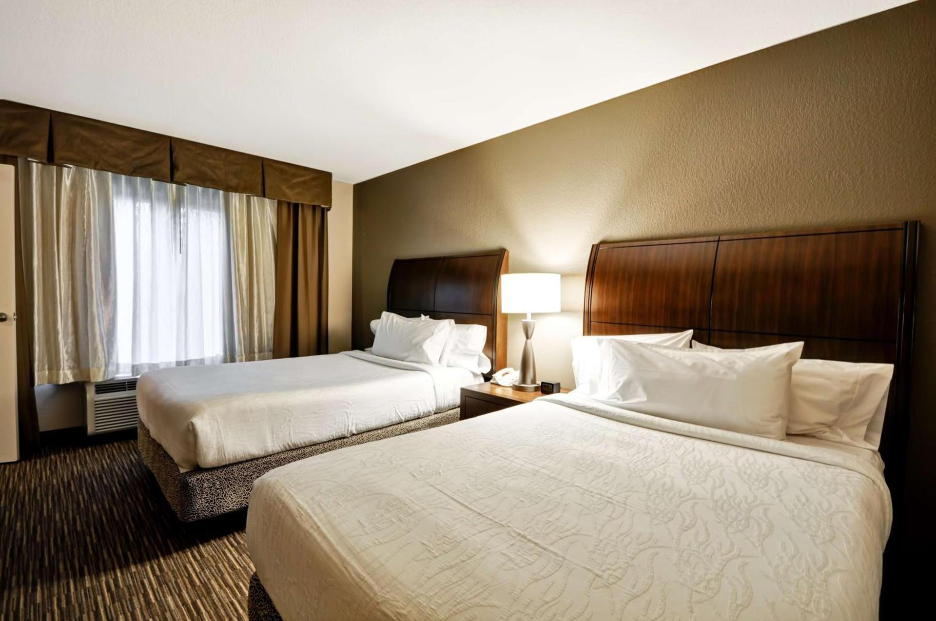 Hilton Garden Inn Tampa North photo 37
