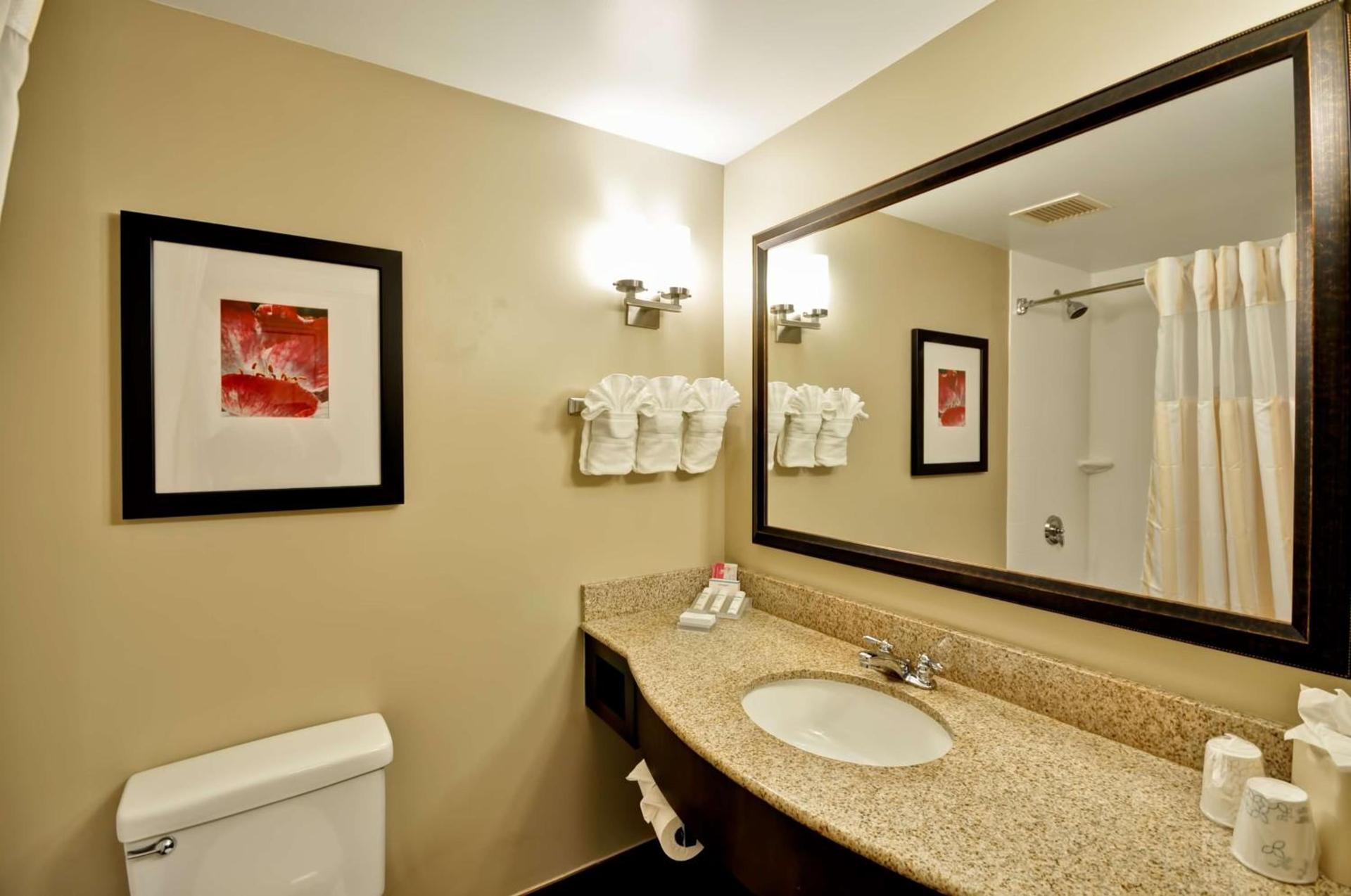 Hilton Garden Inn Tampa North photo 42