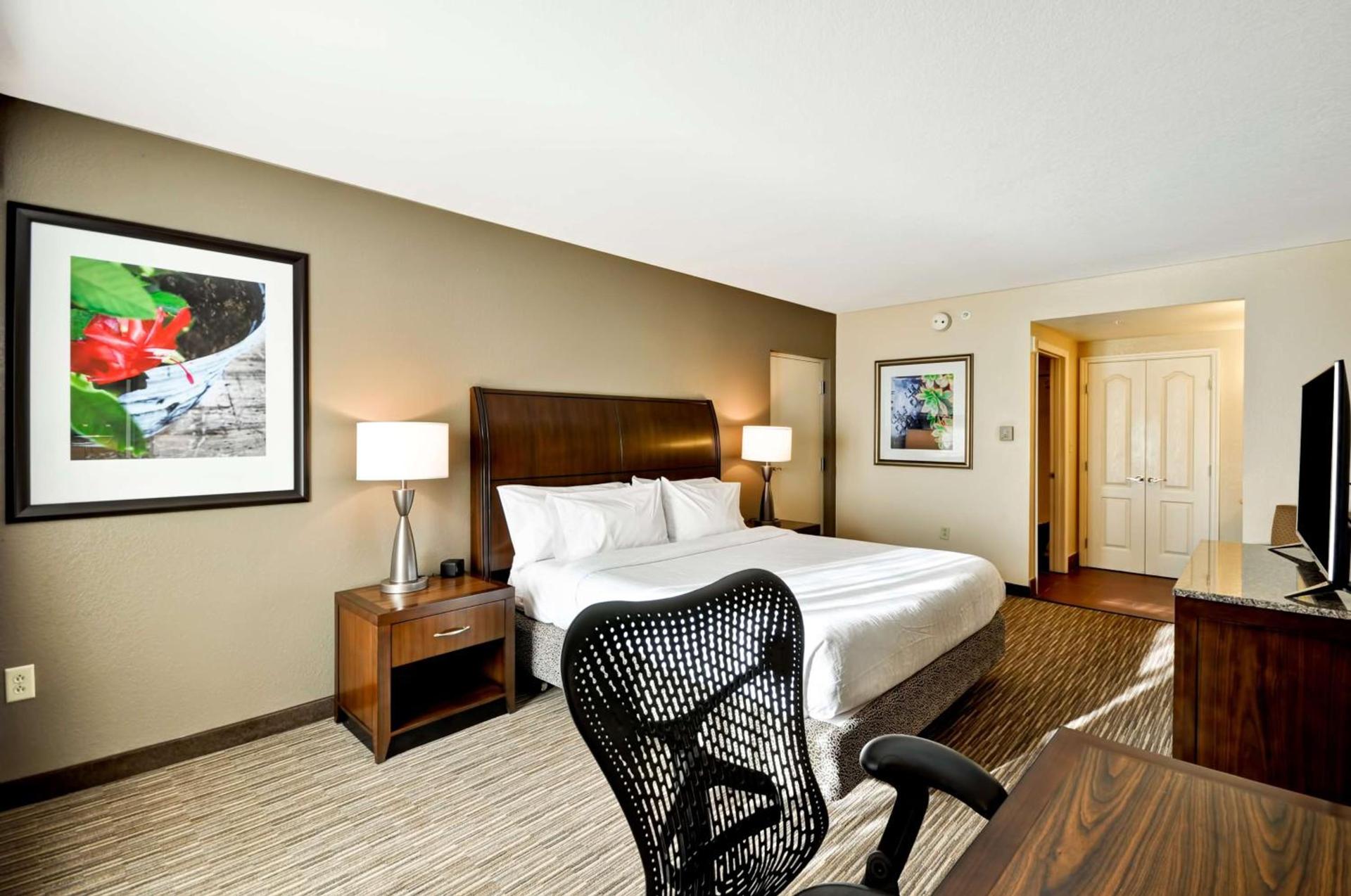 Hilton Garden Inn Tampa North photo 44