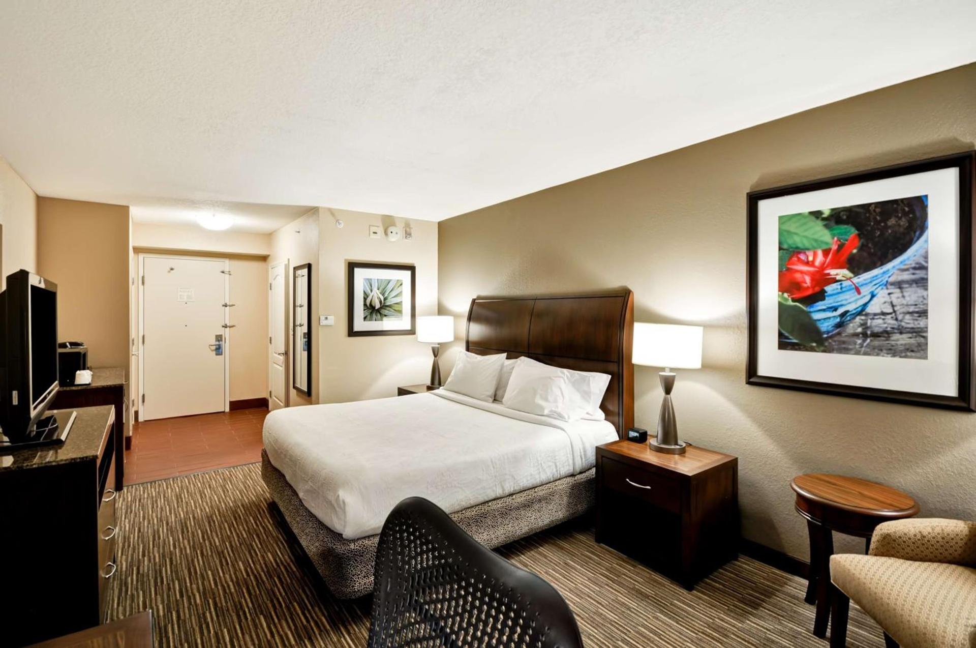 Hilton Garden Inn Tampa North photo 45