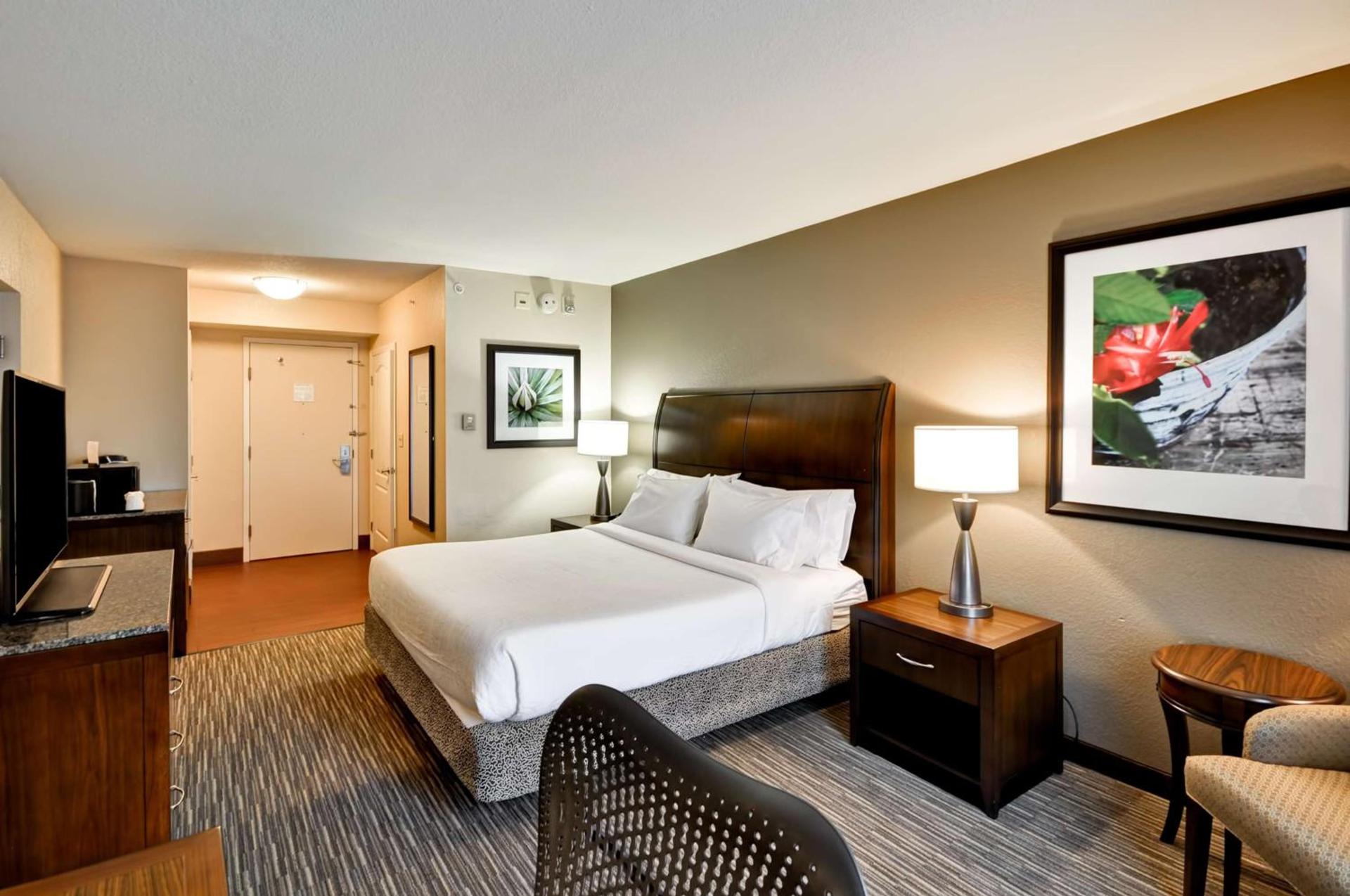 Hilton Garden Inn Tampa North photo 47