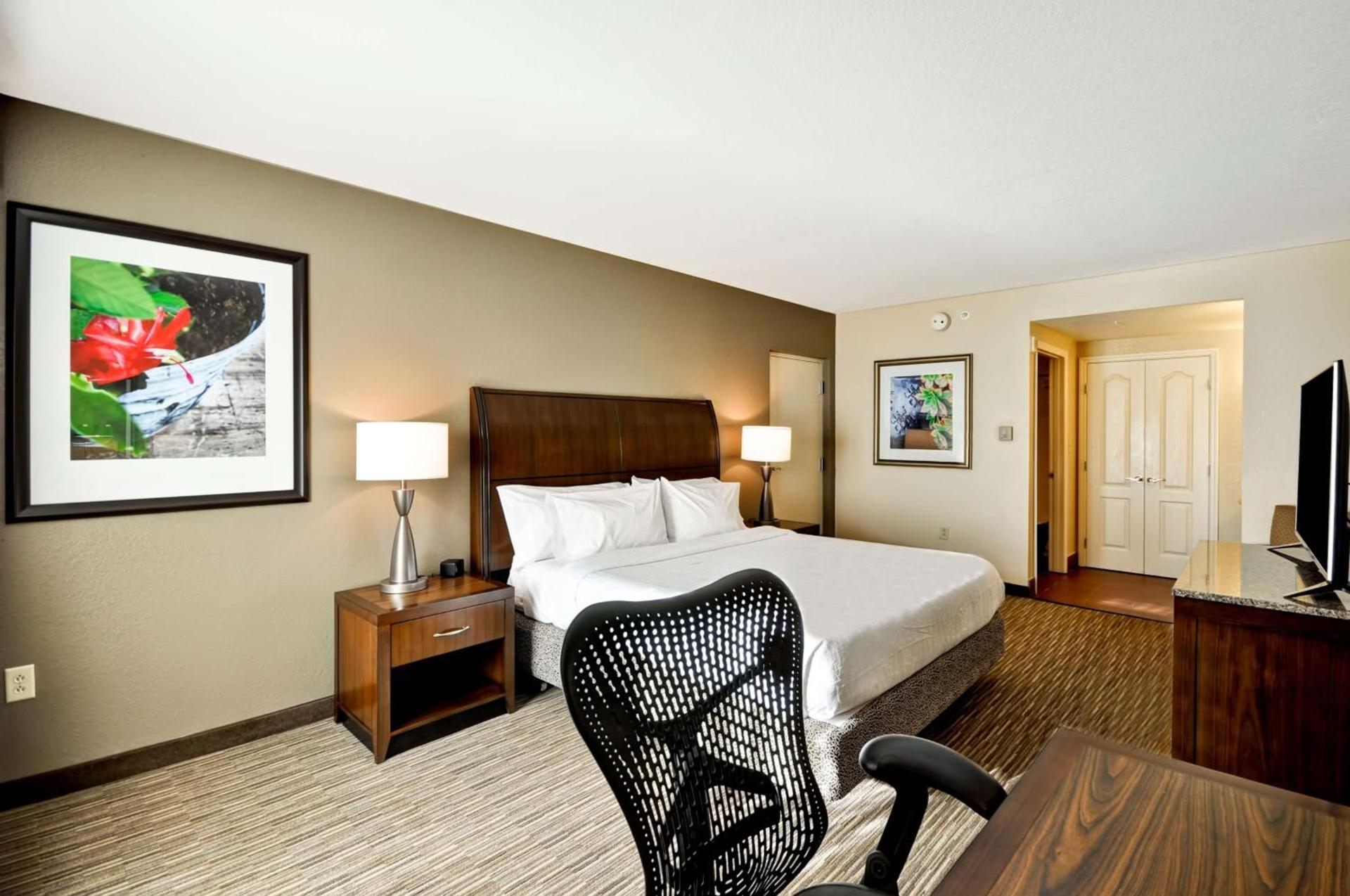 Hilton Garden Inn Tampa North photo 50