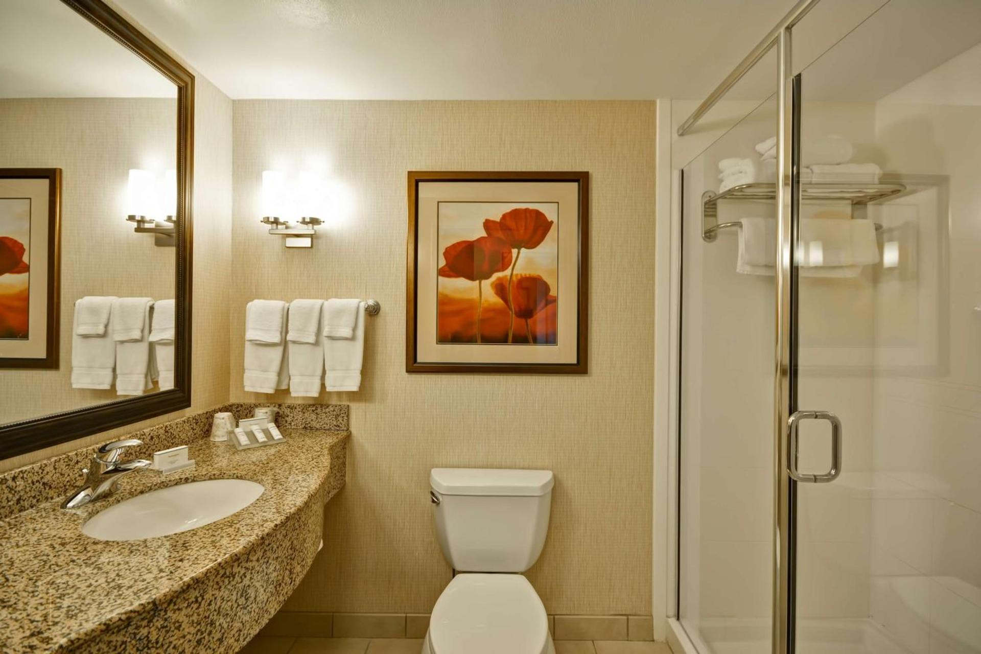 Hilton Garden Inn Tampa Riverview Brandon photo 11
