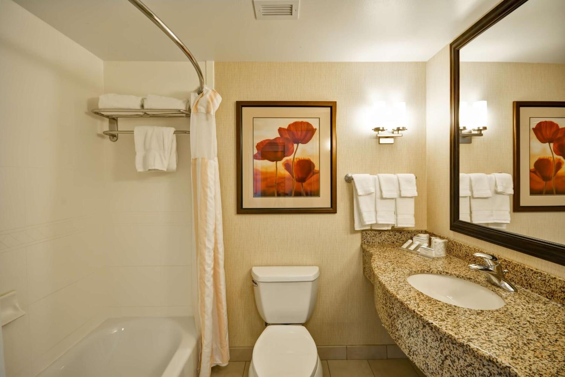 Hilton Garden Inn Tampa Riverview Brandon photo 12