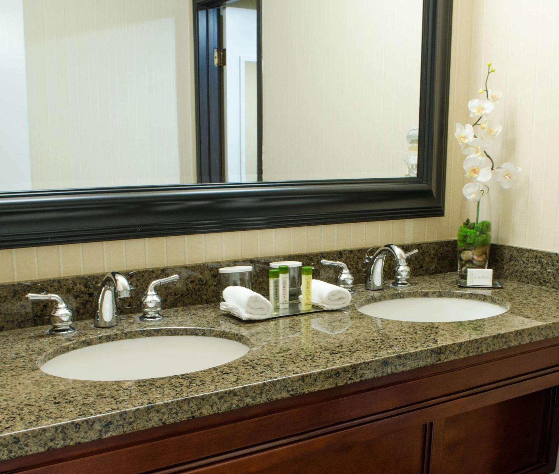DoubleTree Suites by Hilton Tucson Airport photo 22