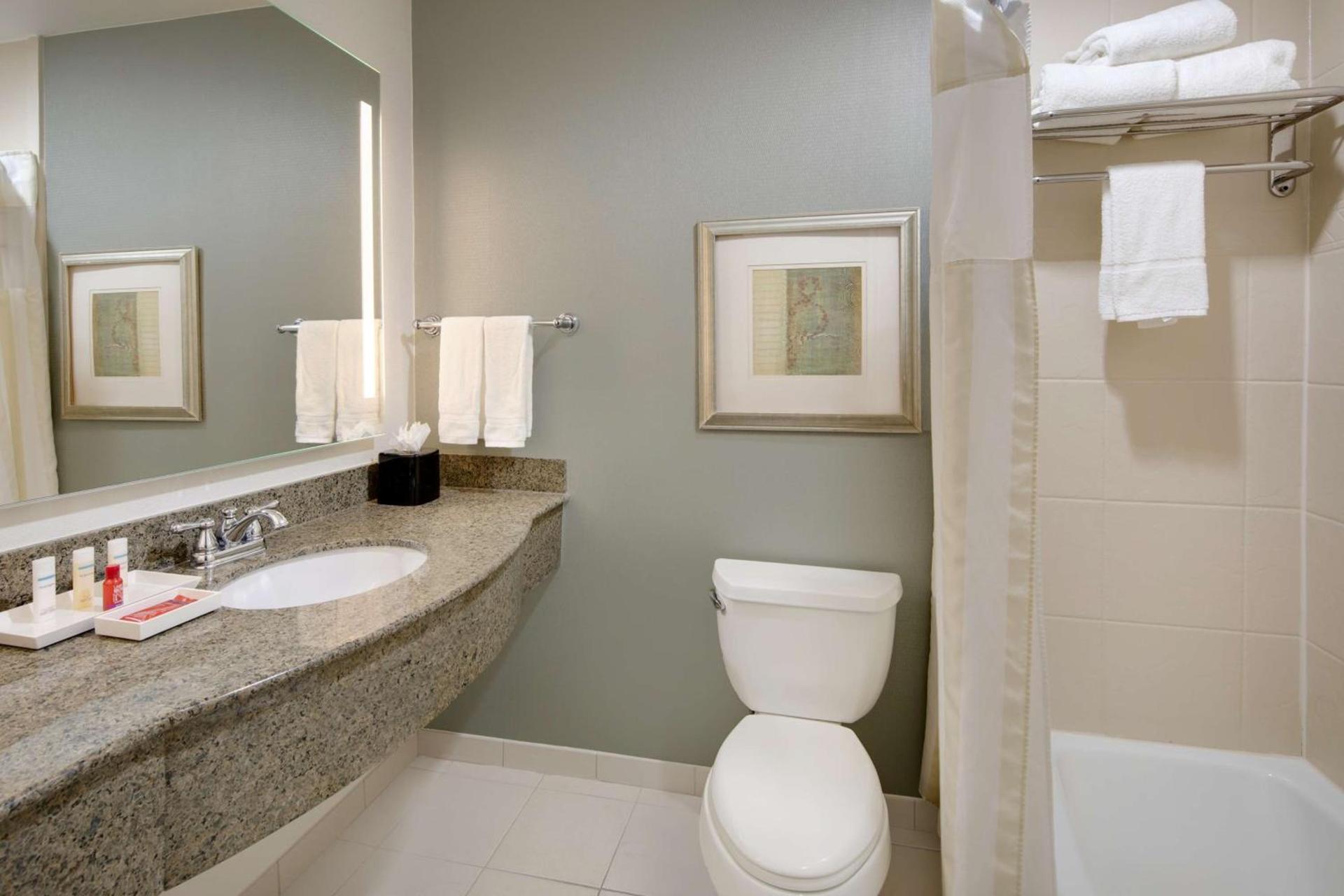 Hilton Garden Inn Tyler photo 35