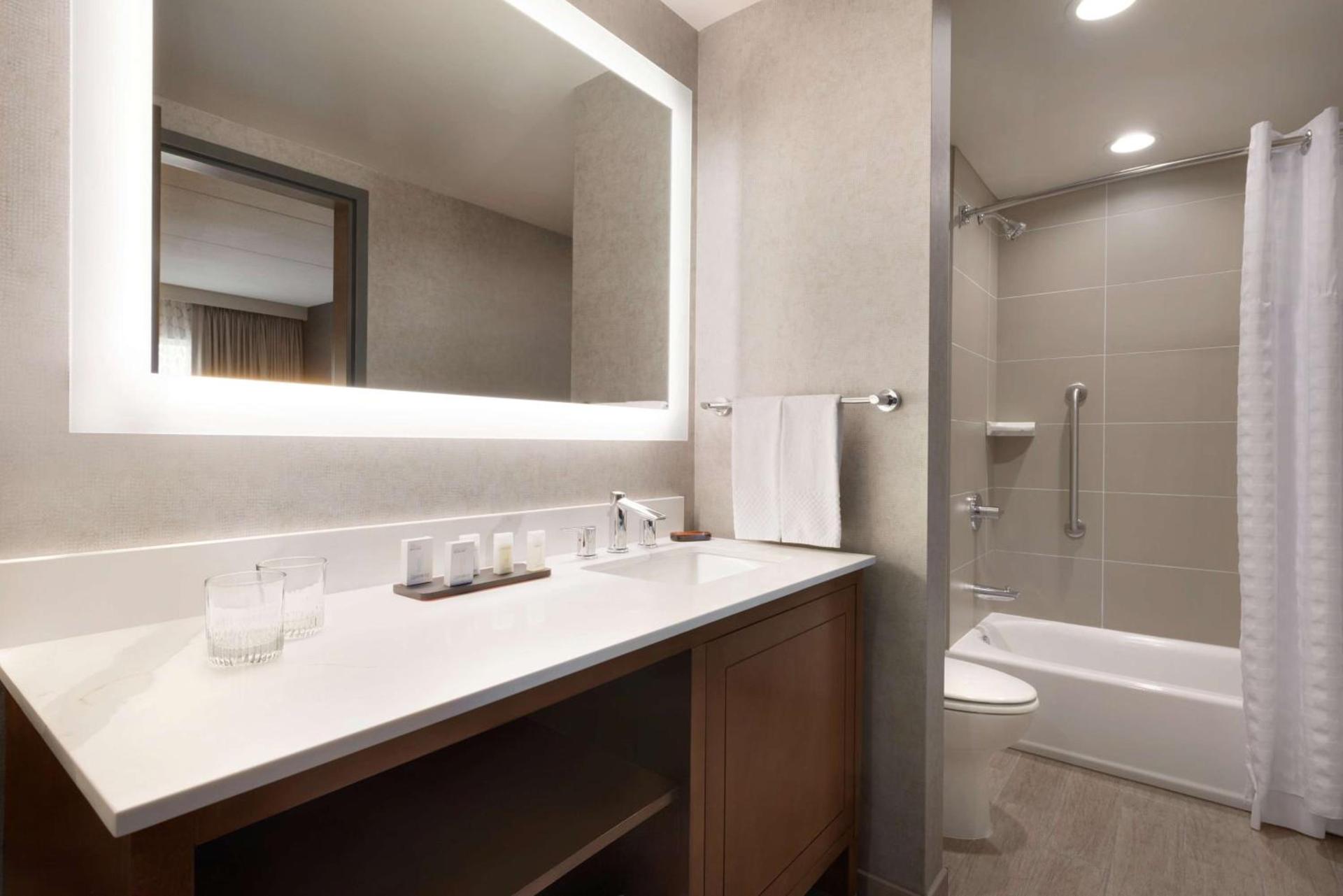 Embassy Suites by Hilton Chicago Naperville photo 15