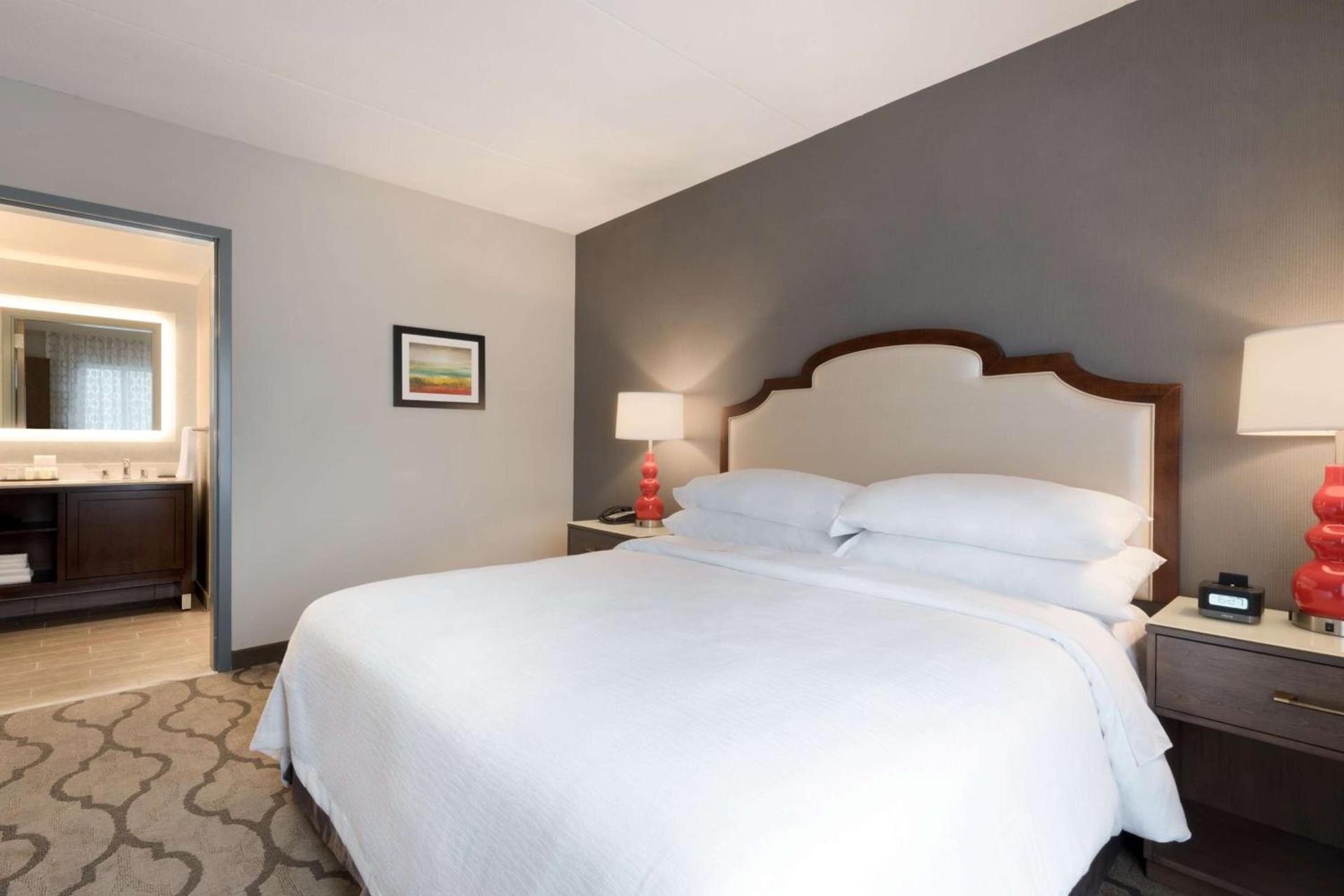 Embassy Suites by Hilton Chicago Naperville photo 14