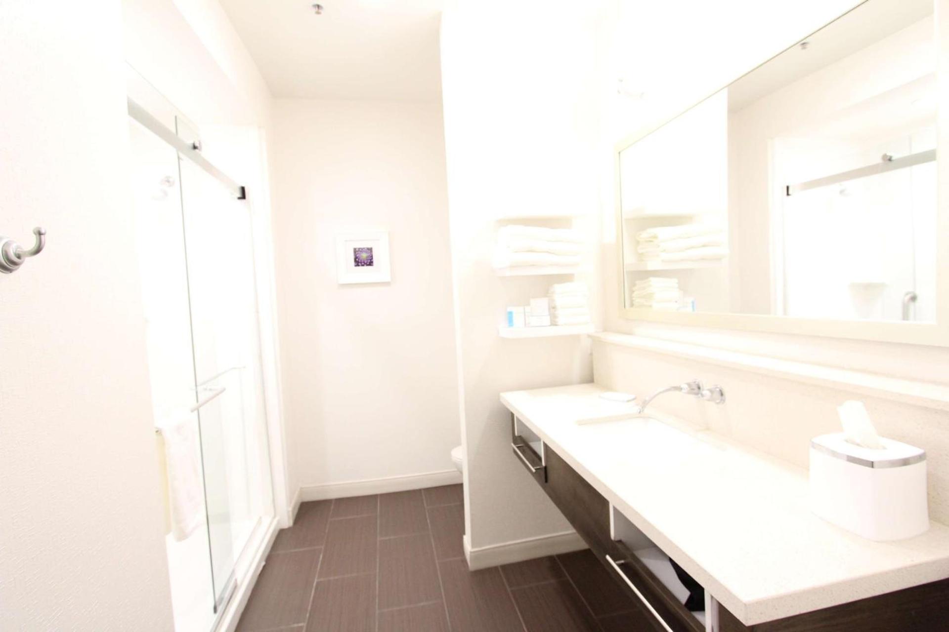 Hampton Inn & Suites Dallas Market Center photo 62